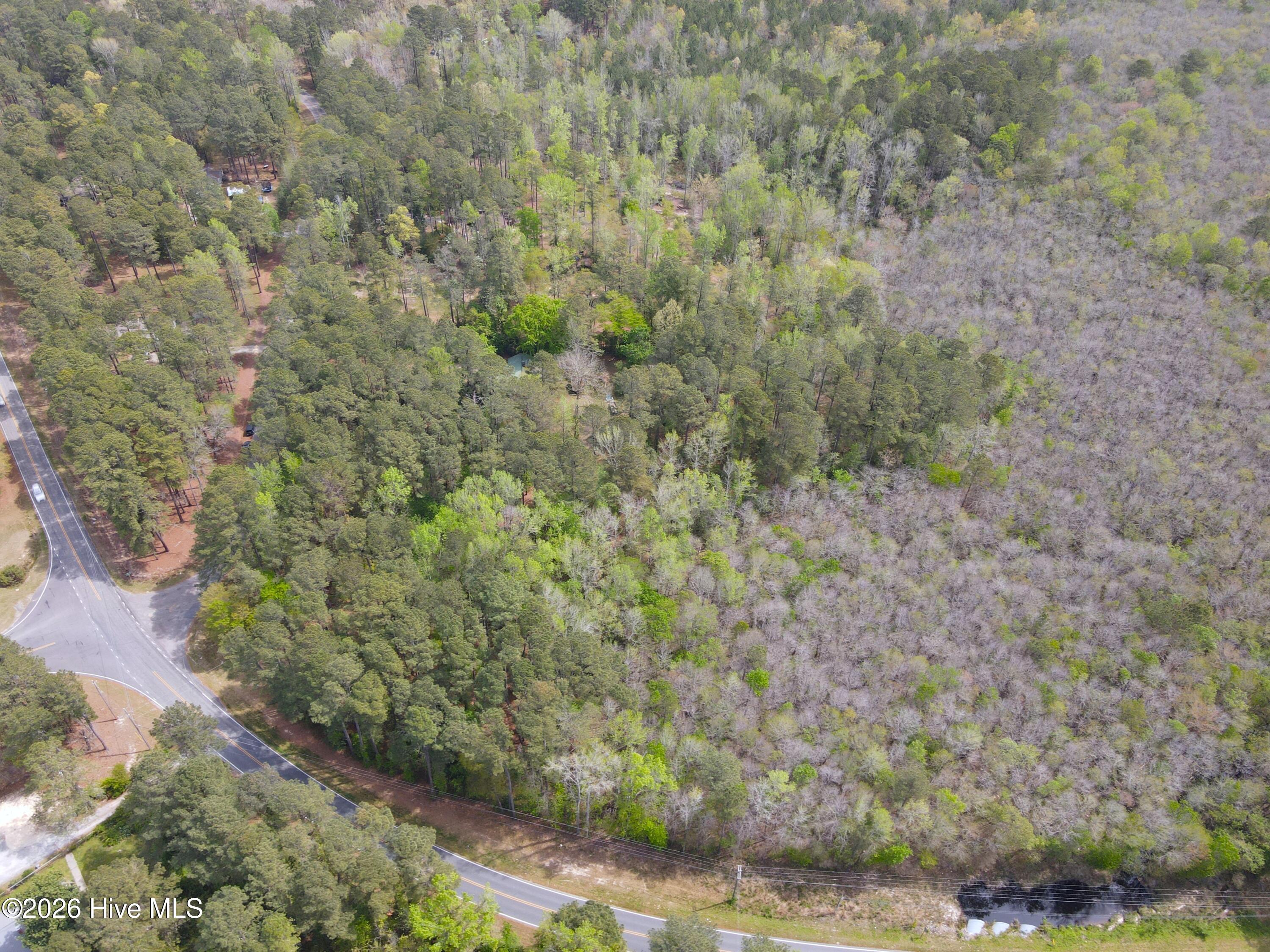 Tbd Murdocksville Road West End, NC 27376 - Photo 6 of 6 dji_fly_20260408_115934_328_177566415972
