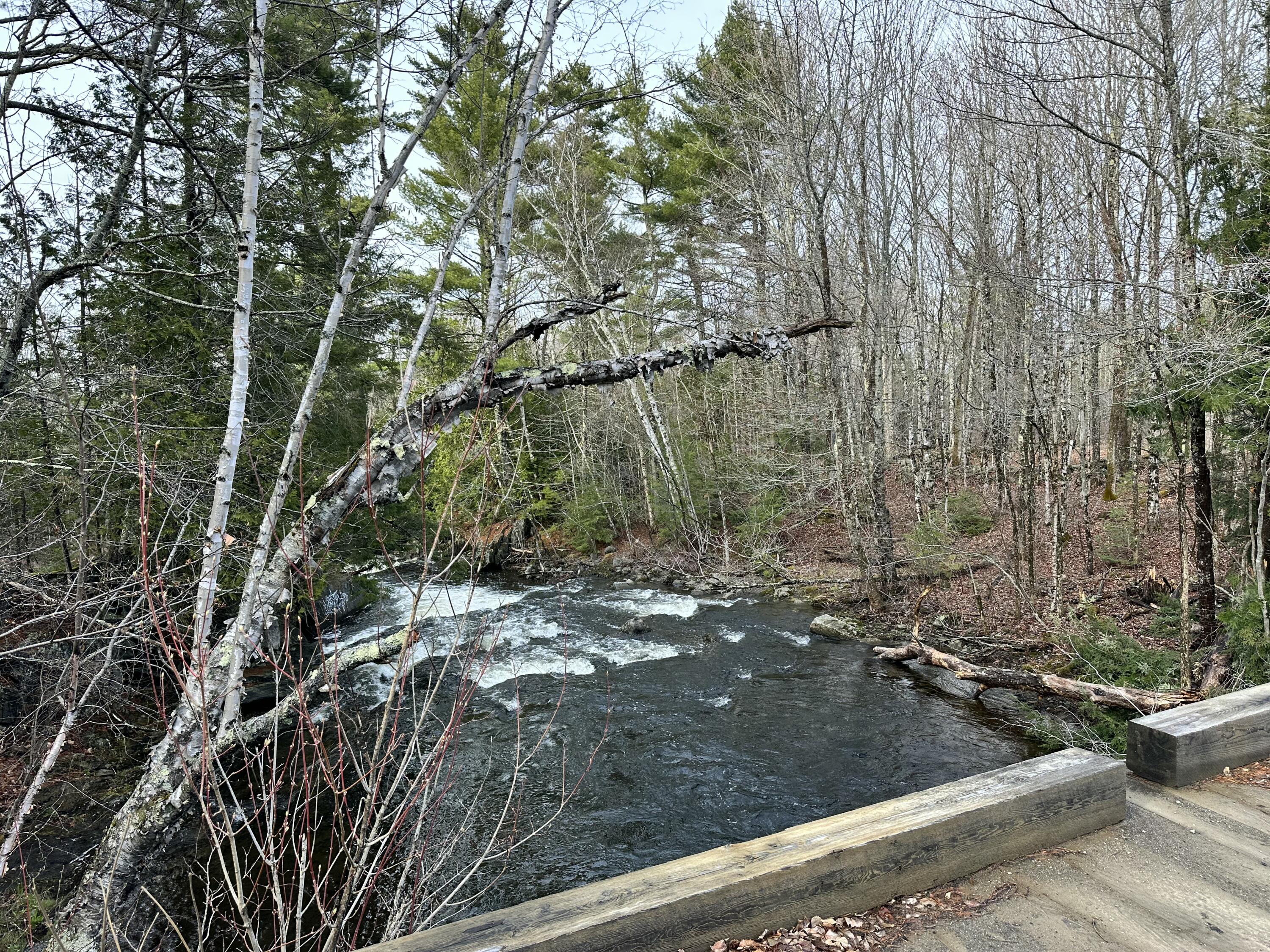 8 Map Road Monroe, ME 04951 - Photo 6 of 9 Map 8 Lot 12 Crane Bridge Rd, Monroe