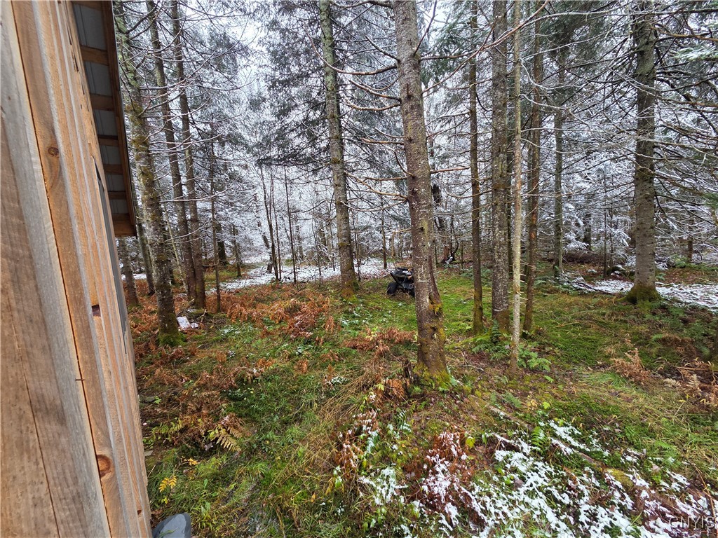 3102 Rector Road Martinsburg, NY 13367 - Photo 19 of 27