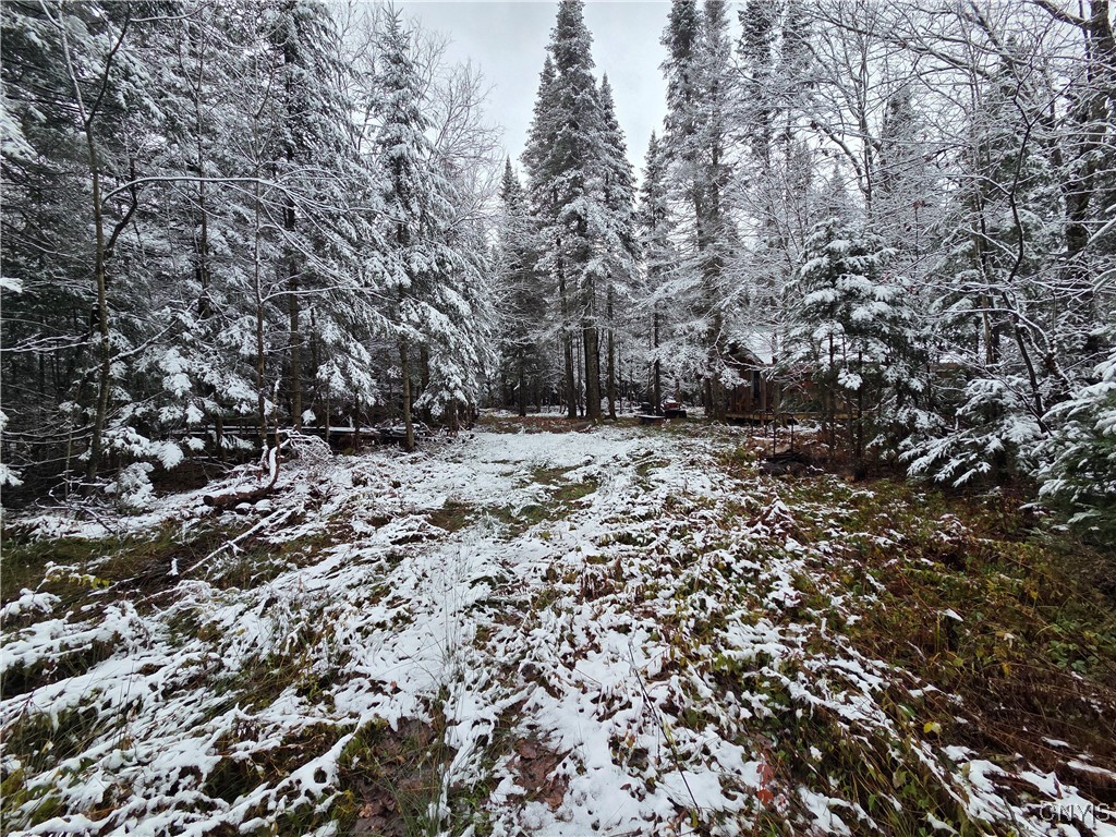 3102 Rector Road Martinsburg, NY 13367 - Photo 2 of 27