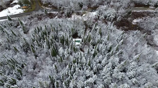 $100,000 | 3102 Rector Road, Martinsburg, NY 13367