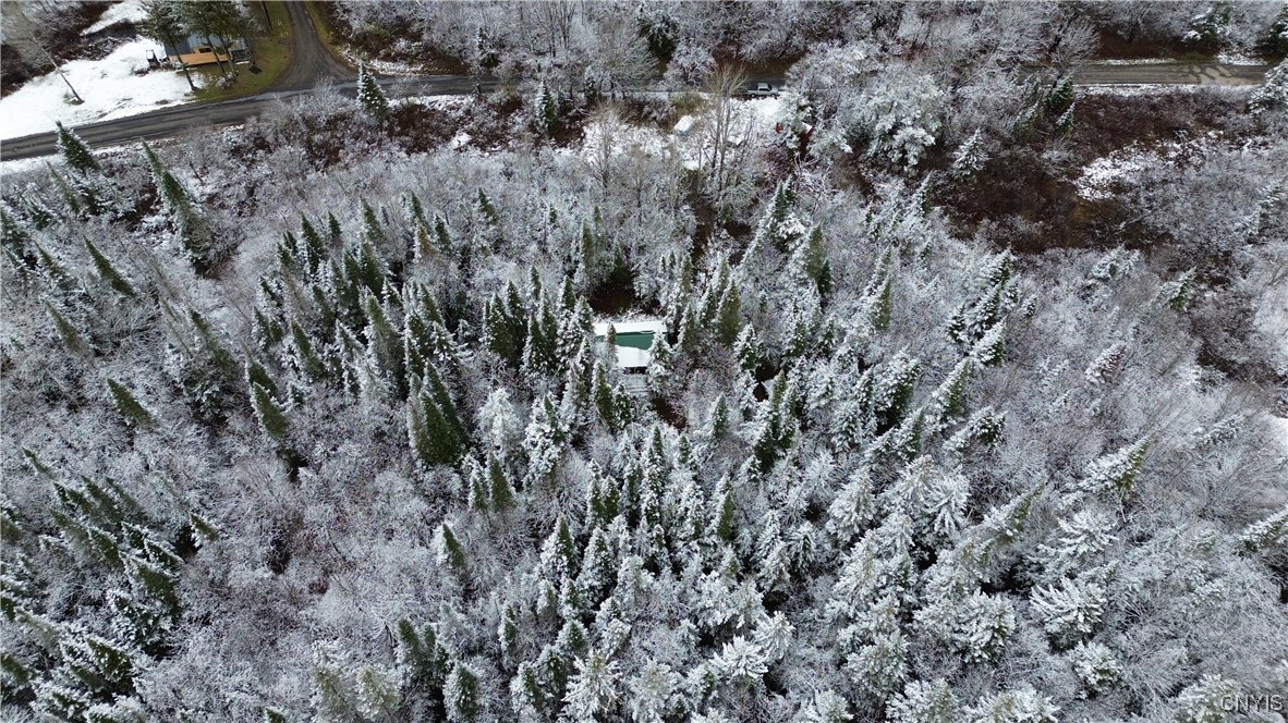 3102 Rector Road Martinsburg, NY 13367 - Photo 22 of 27