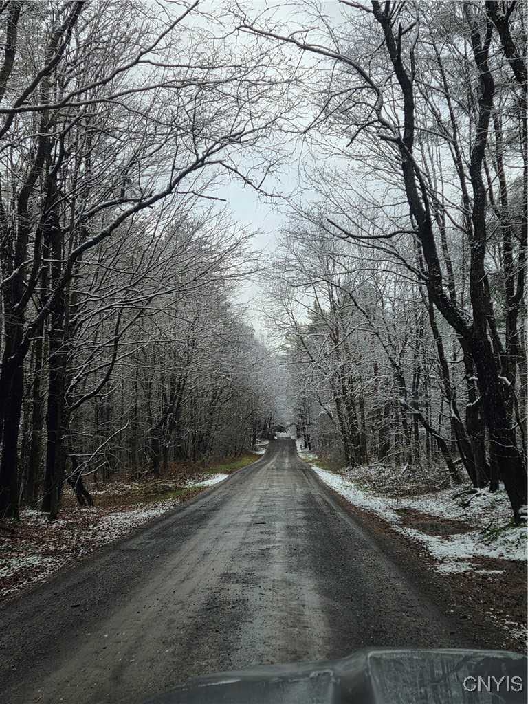 3102 Rector Road Martinsburg, NY 13367 - Photo 3 of 27