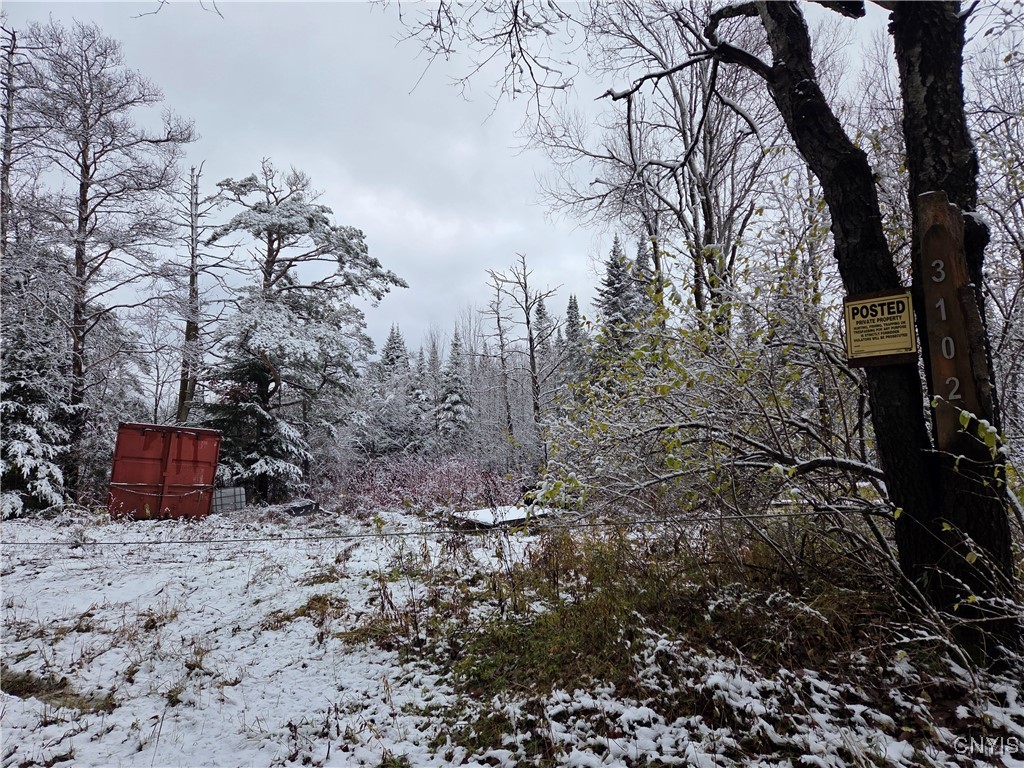 3102 Rector Road Martinsburg, NY 13367 - Photo 4 of 27