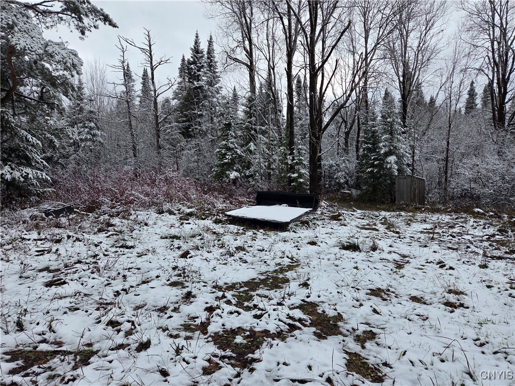 3102 Rector Road Martinsburg, NY 13367 - Photo 6 of 27