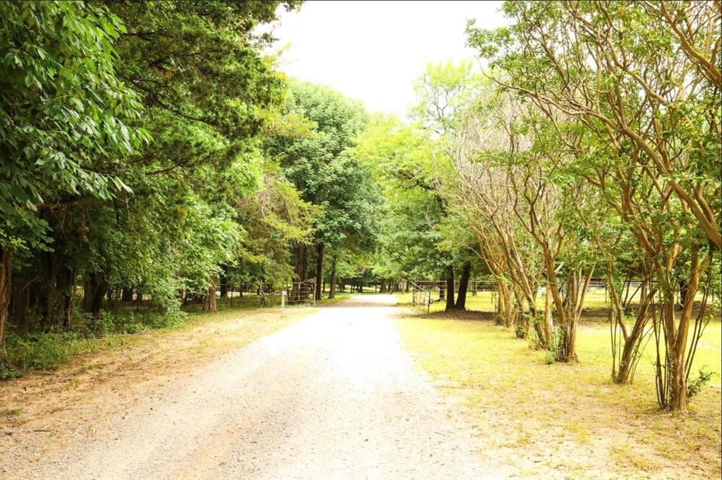 3439 South 271 Bonham, TX 75418 - Photo 28 of 36 a view of yard with swimming pool and trees