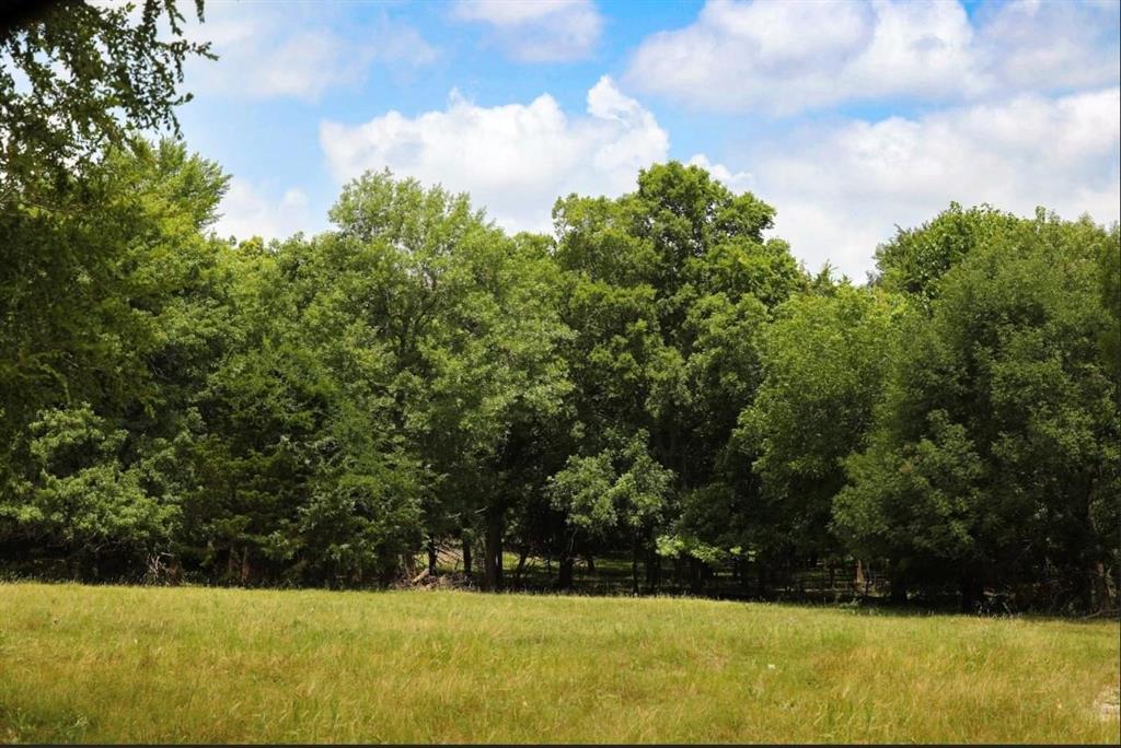 3439 South 271 Bonham, TX 75418 - Photo 35 of 36 a view of yard with green space