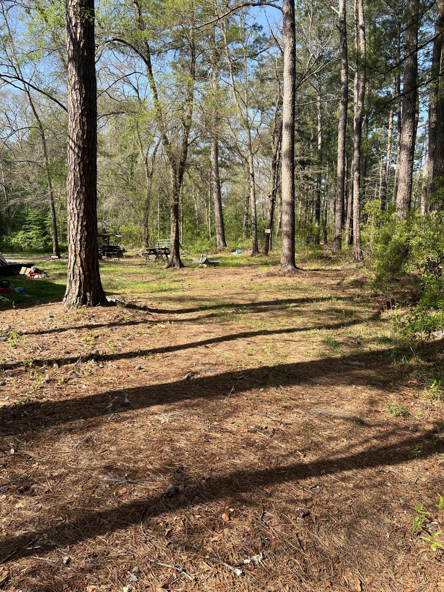 204 Canaan Road Ridgeville, SC 29472 - Photo 3 of 11 IMG-4875
