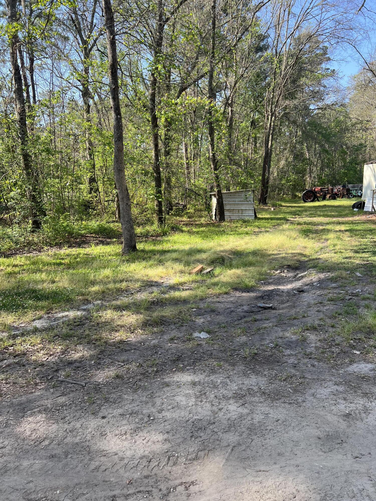 204 Canaan Road Ridgeville, SC 29472 - Photo 4 of 11 IMG-4874