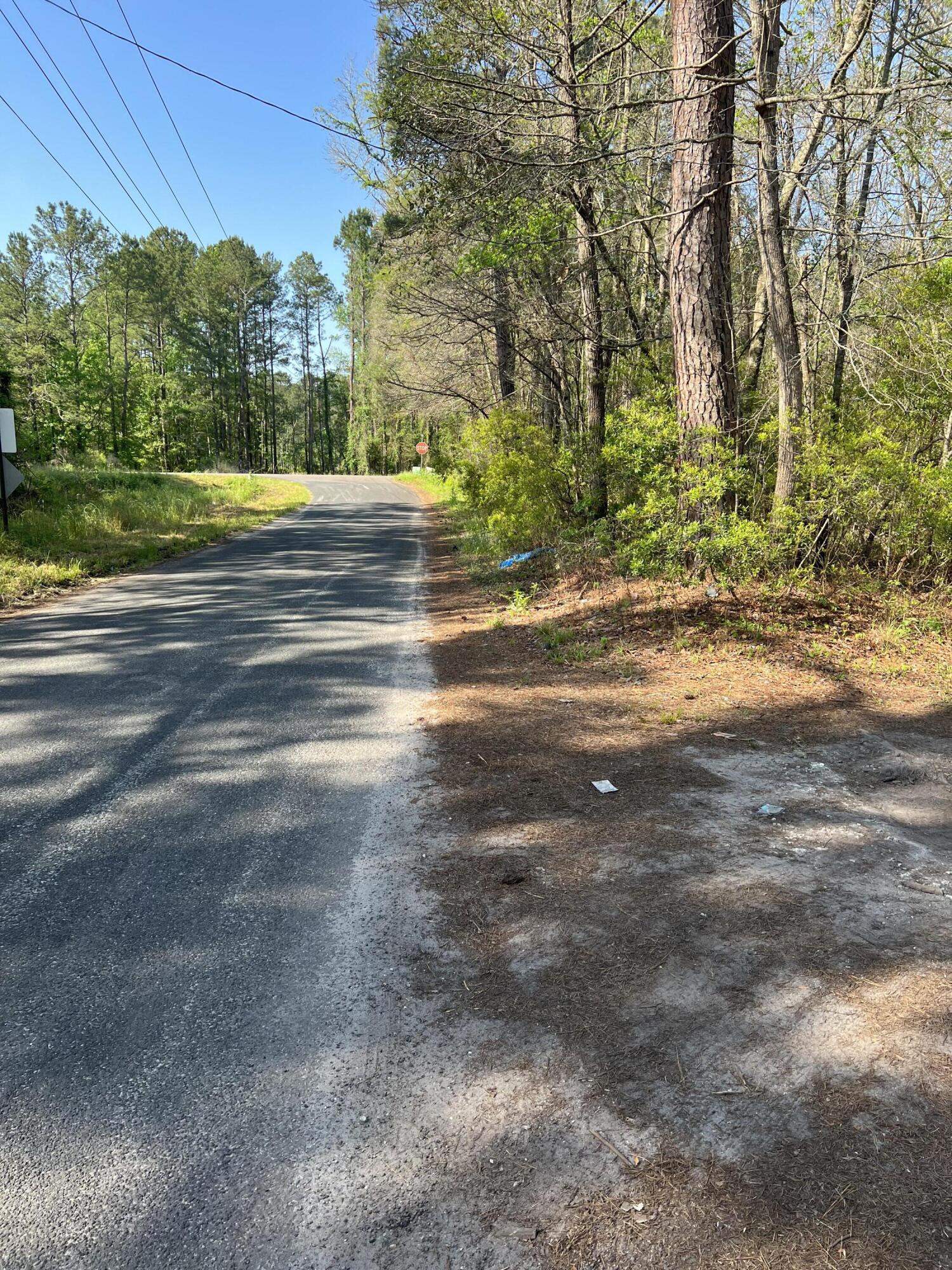 204 Canaan Road Ridgeville, SC 29472 - Photo 6 of 11 IMG-4873