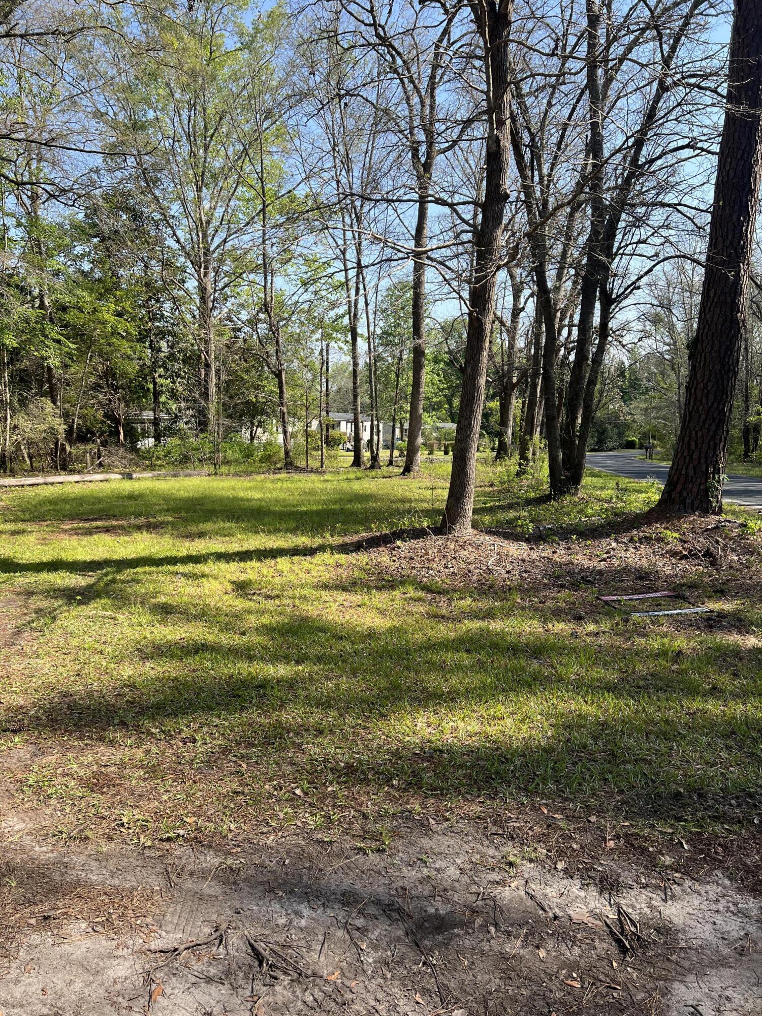 204 Canaan Road Ridgeville, SC 29472 - Photo 7 of 11 IMG-4870