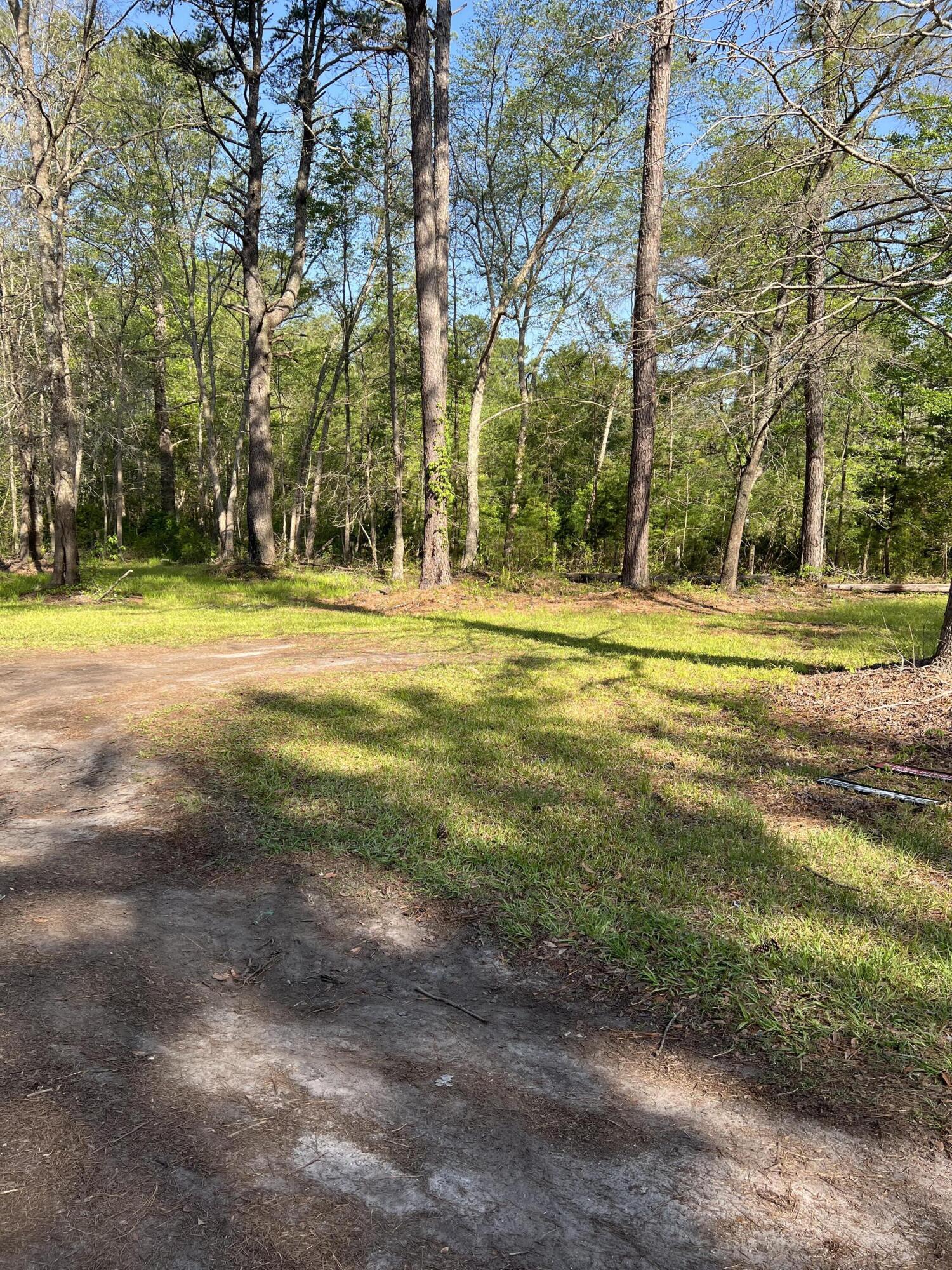 204 Canaan Road Ridgeville, SC 29472 - Photo 8 of 11 IMG-4872