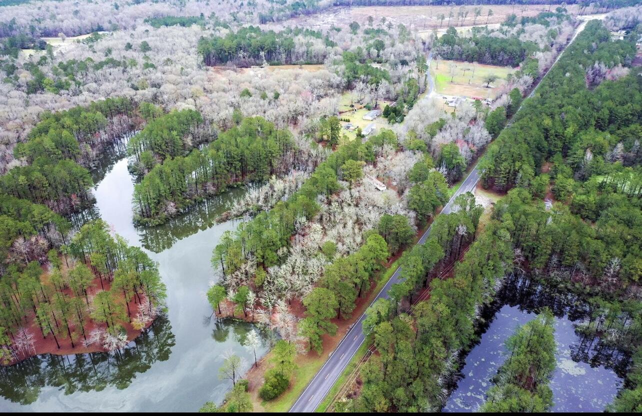204 Canaan Road Ridgeville, SC 29472 - Photo 10 of 11 IMG-4946