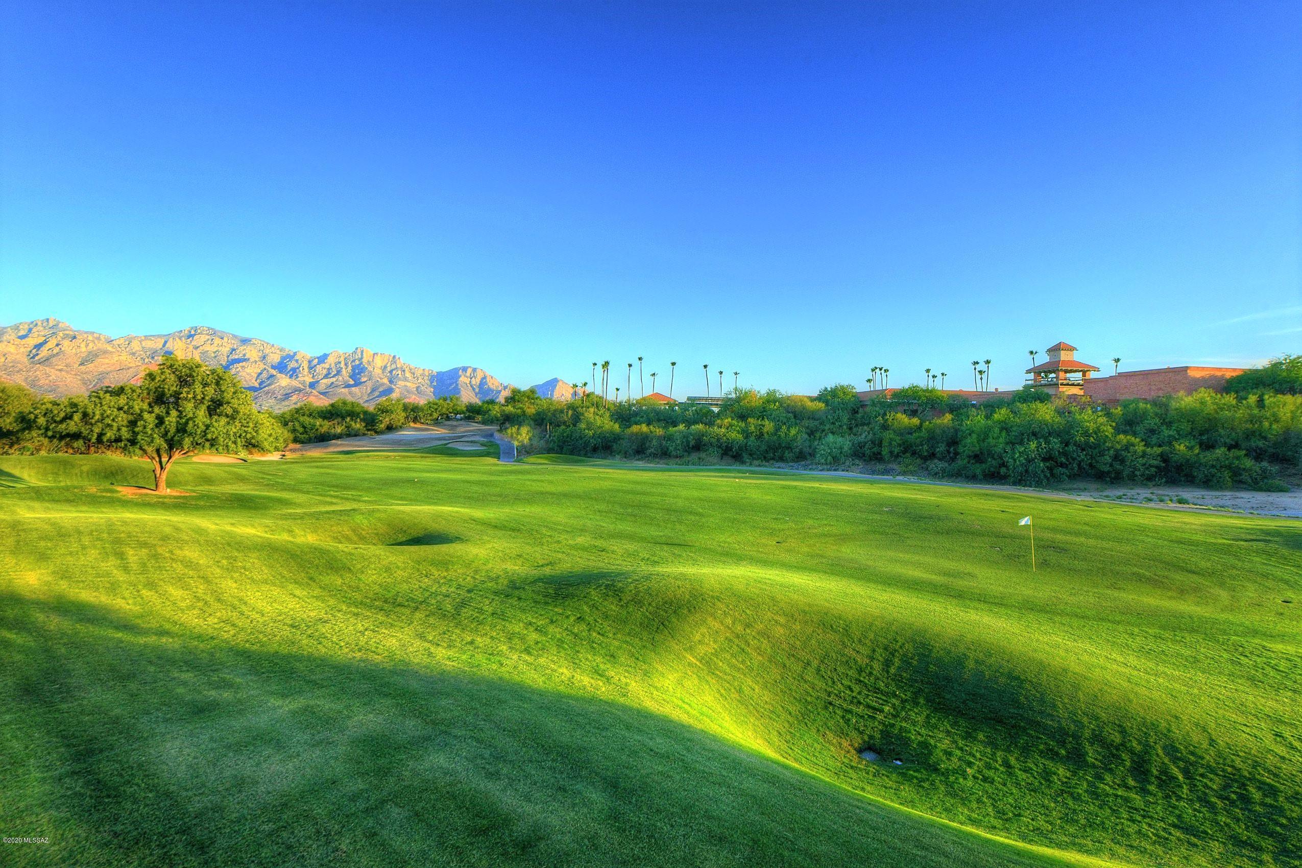 14283 North Copperstone Drive Oro Valley, AZ 85755 - Photo 41 of 42