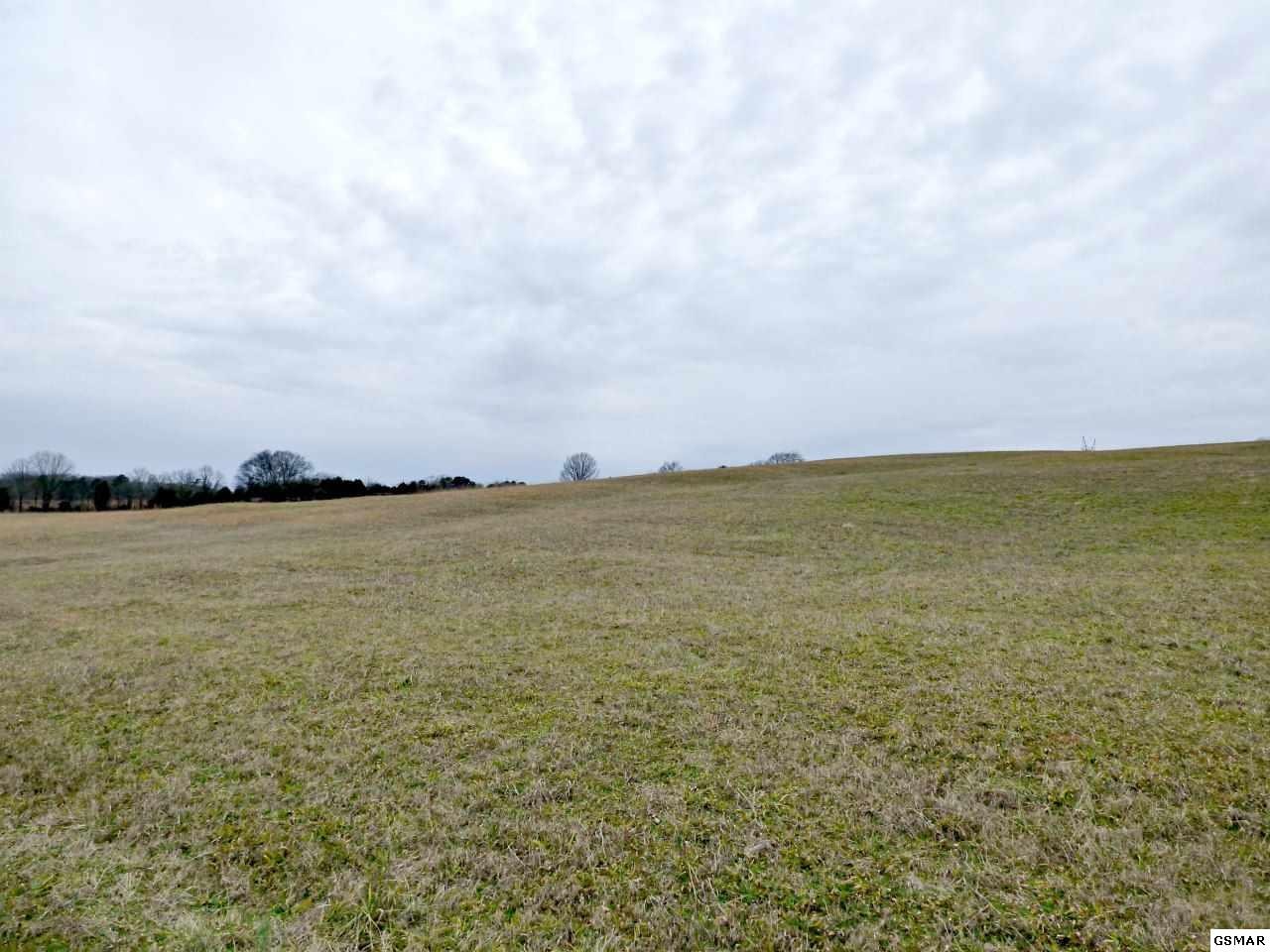 5 Valley Home Road Dandridge, TN 37725 - Photo 23 of 29 Gallery Image 23