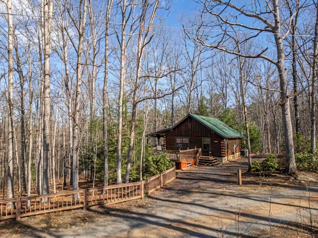 157 Sunrise Lane Blue Ridge, GA 30513 - Photo 23 of 28
