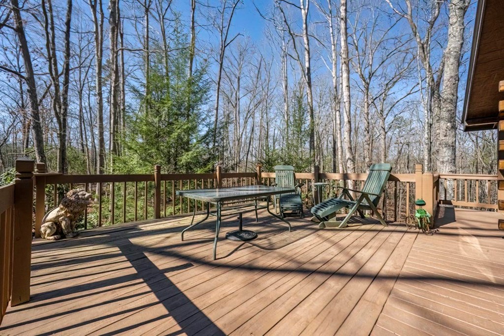 157 Sunrise Lane Blue Ridge, GA 30513 - Photo 3 of 28
