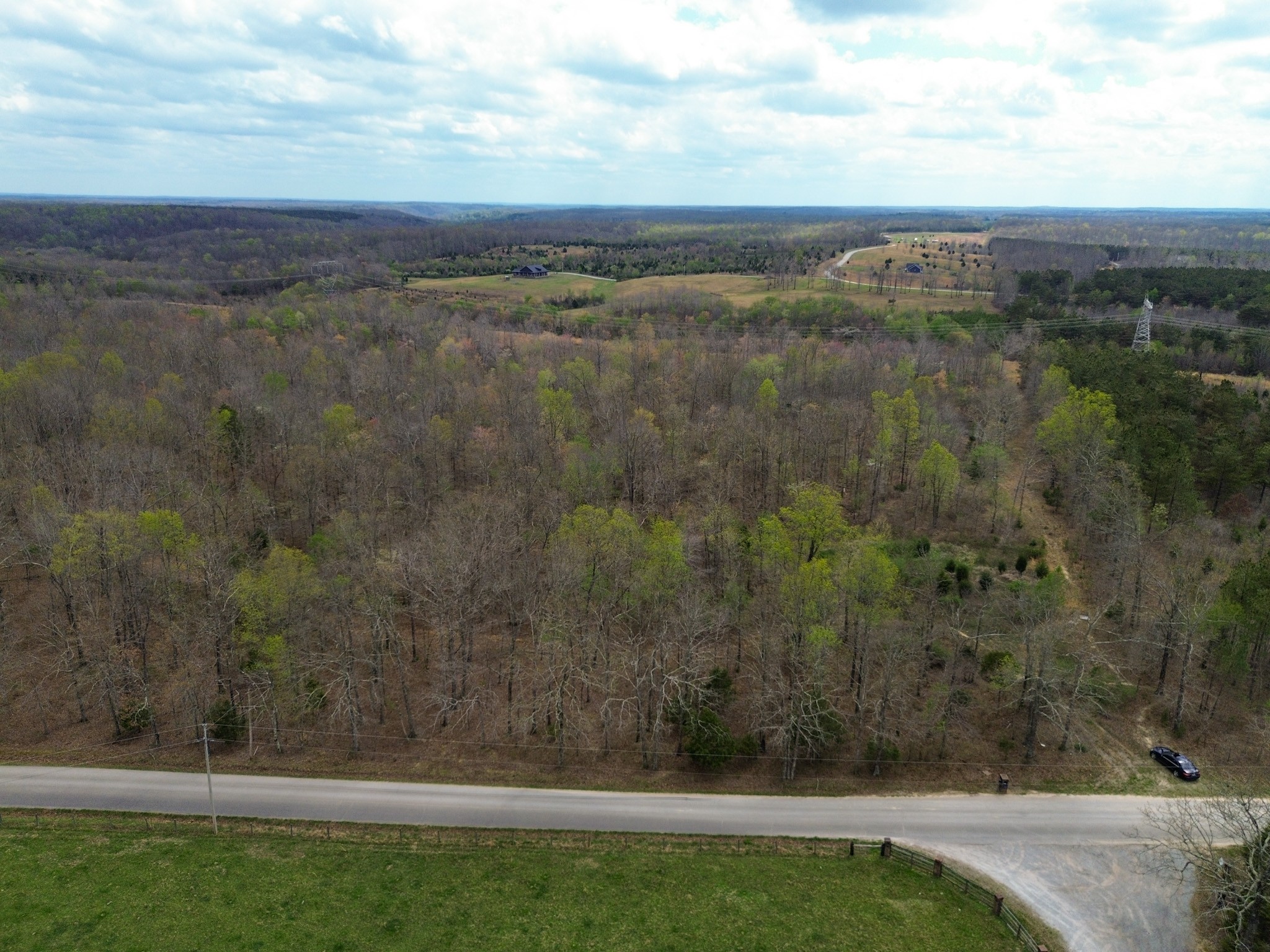 0 Mcelhiney Road Dickson, TN 37055 - Photo 11 of 56