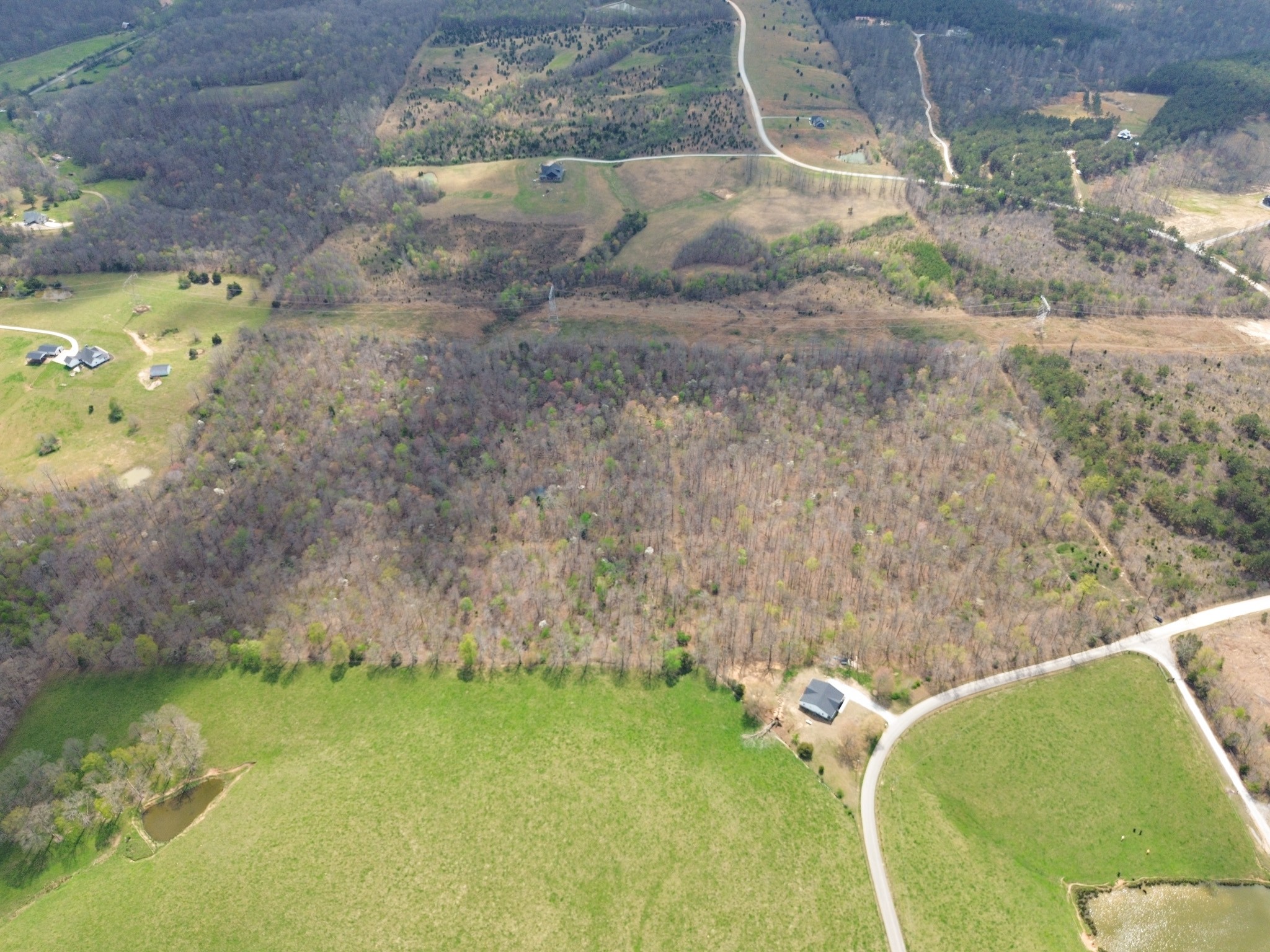 0 Mcelhiney Road Dickson, TN 37055 - Photo 14 of 56