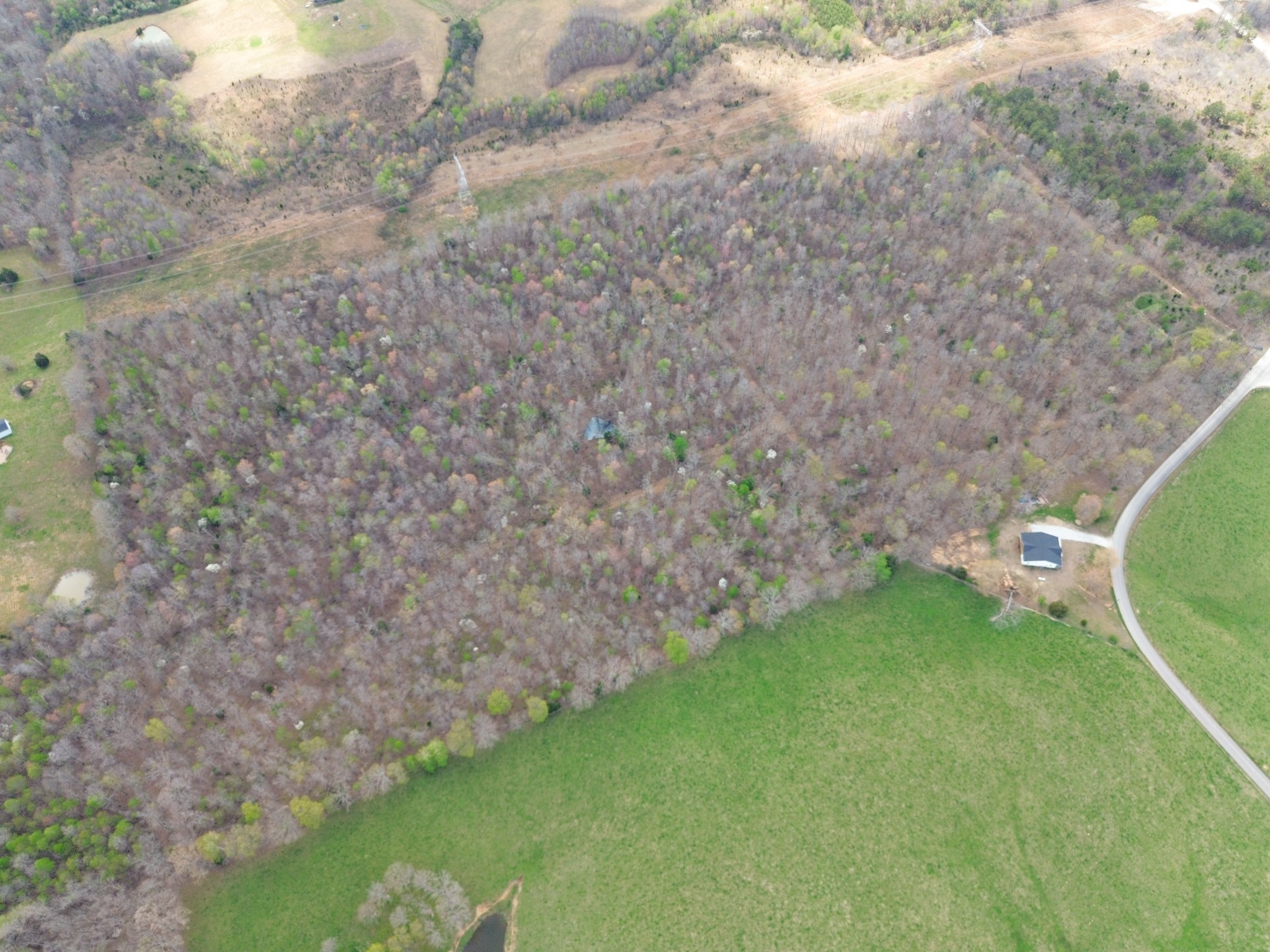 0 Mcelhiney Road Dickson, TN 37055 - Photo 17 of 56