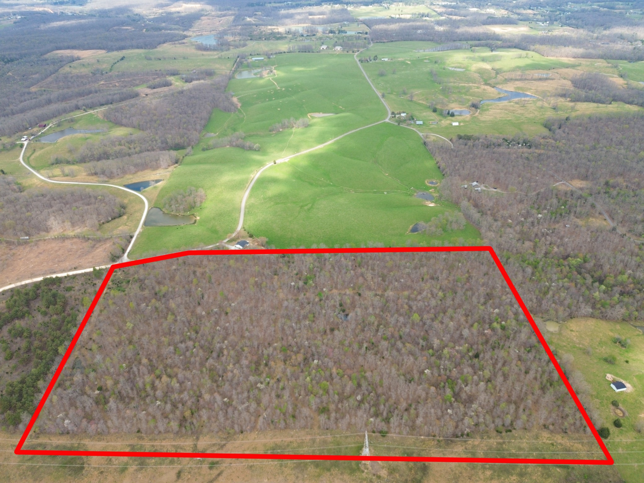 0 Mcelhiney Road Dickson, TN 37055 - Photo 2 of 56