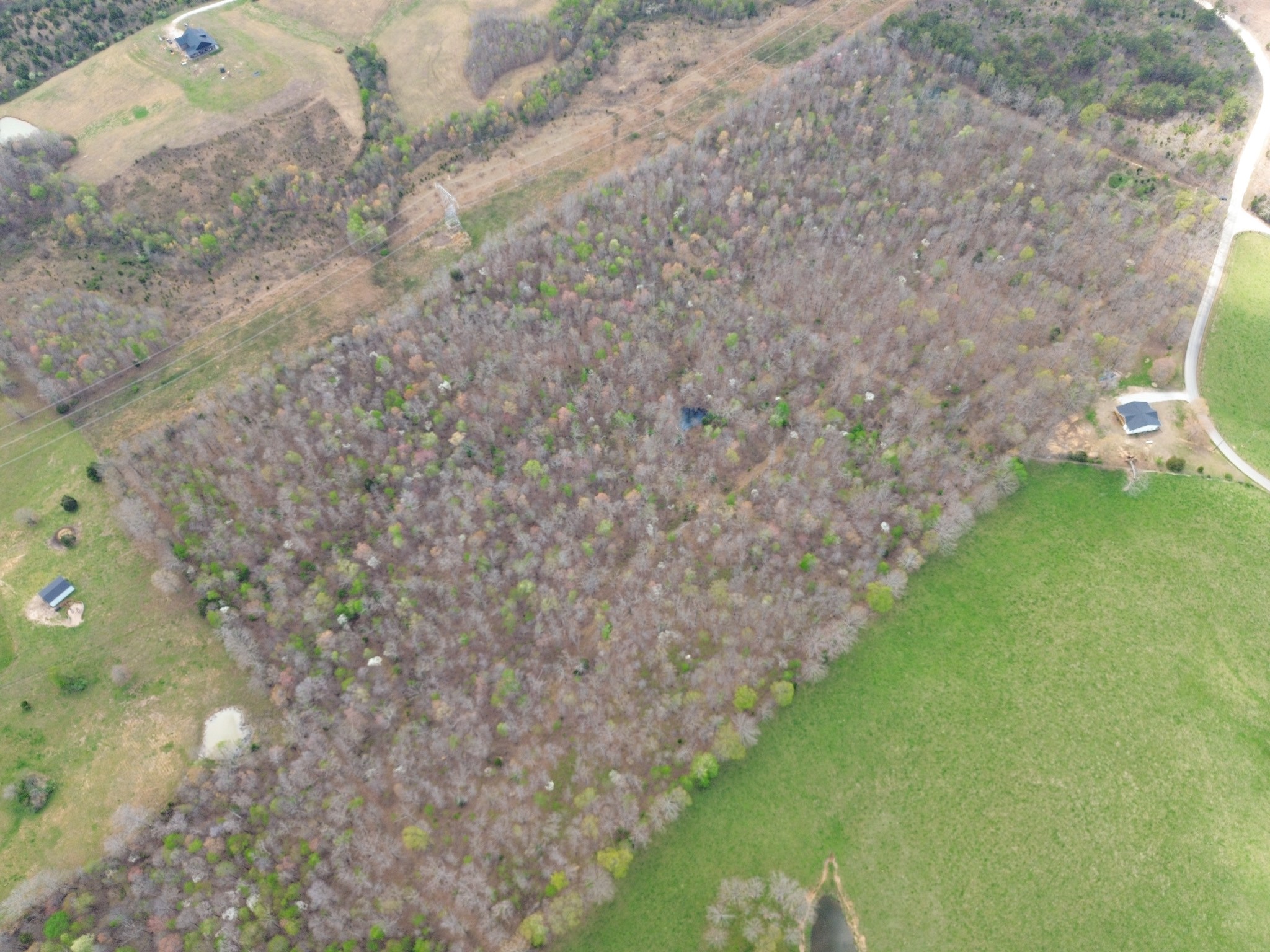 0 Mcelhiney Road Dickson, TN 37055 - Photo 22 of 56