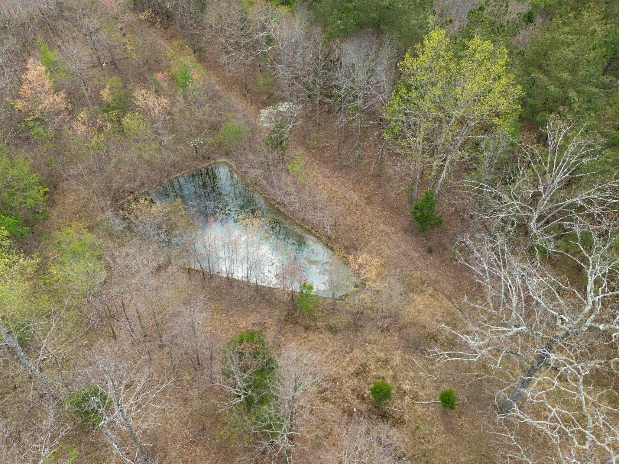 0 Mcelhiney Road Dickson, TN 37055 - Photo 23 of 56