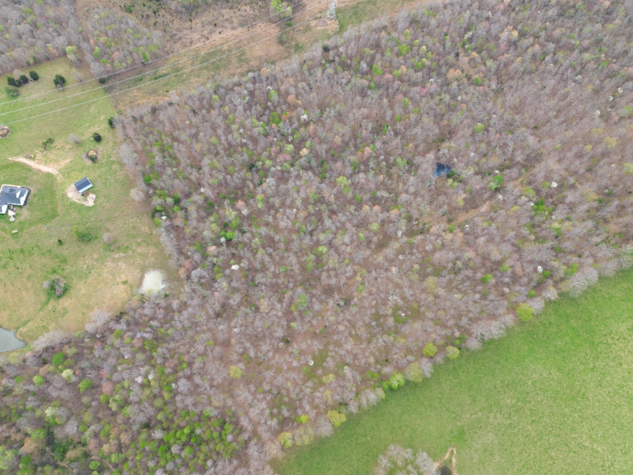 0 Mcelhiney Road Dickson, TN 37055 - Photo 24 of 56