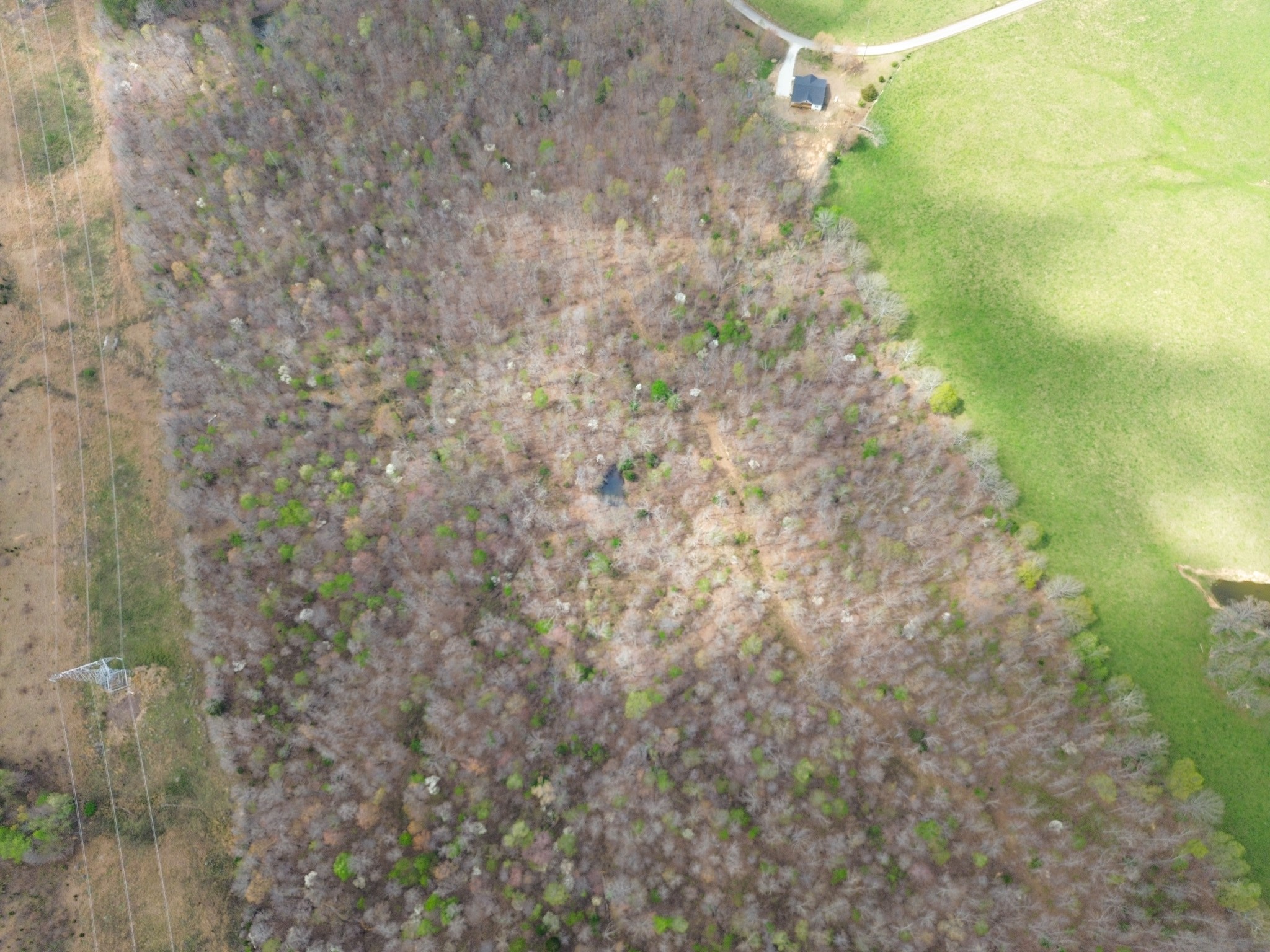 0 Mcelhiney Road Dickson, TN 37055 - Photo 25 of 56