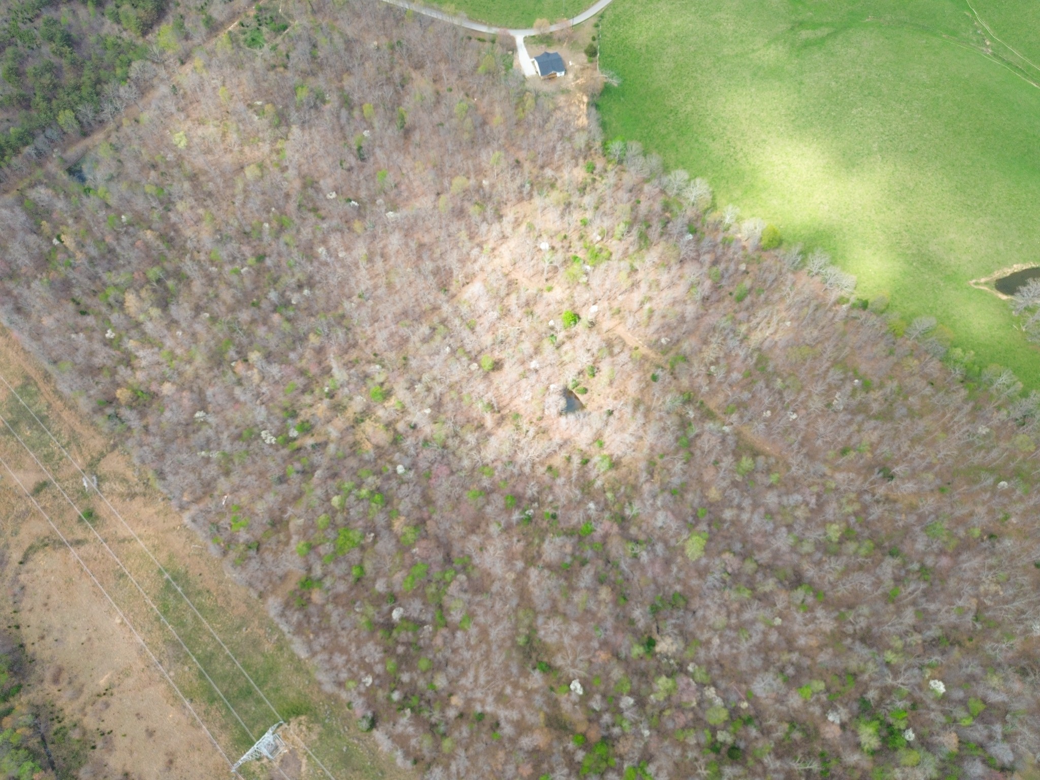 0 Mcelhiney Road Dickson, TN 37055 - Photo 26 of 56
