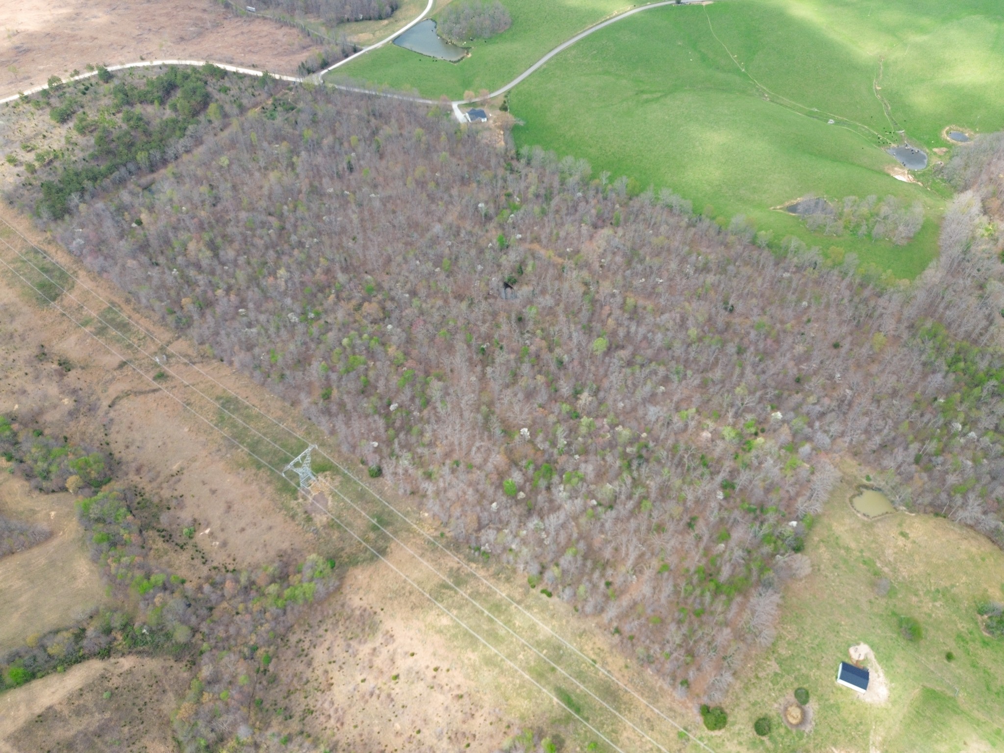 0 Mcelhiney Road Dickson, TN 37055 - Photo 27 of 56