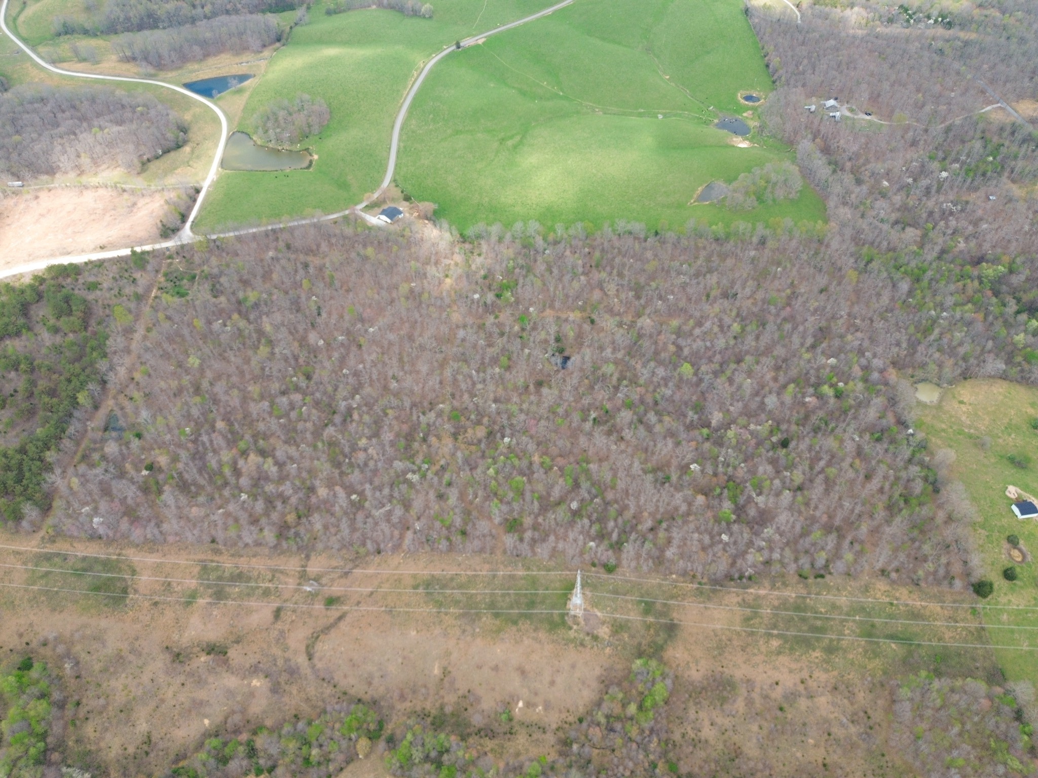 0 Mcelhiney Road Dickson, TN 37055 - Photo 29 of 56