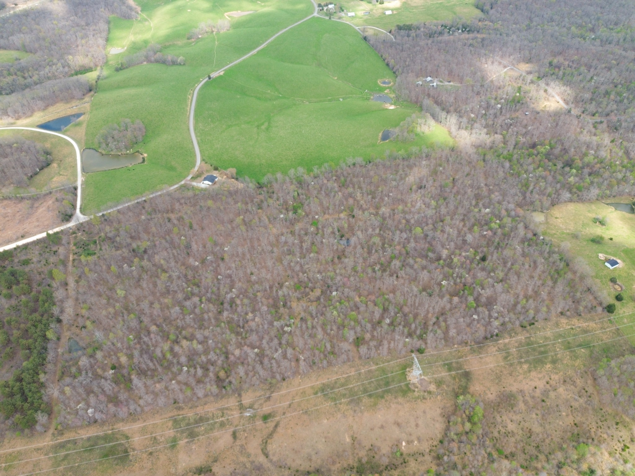 0 Mcelhiney Road Dickson, TN 37055 - Photo 32 of 56