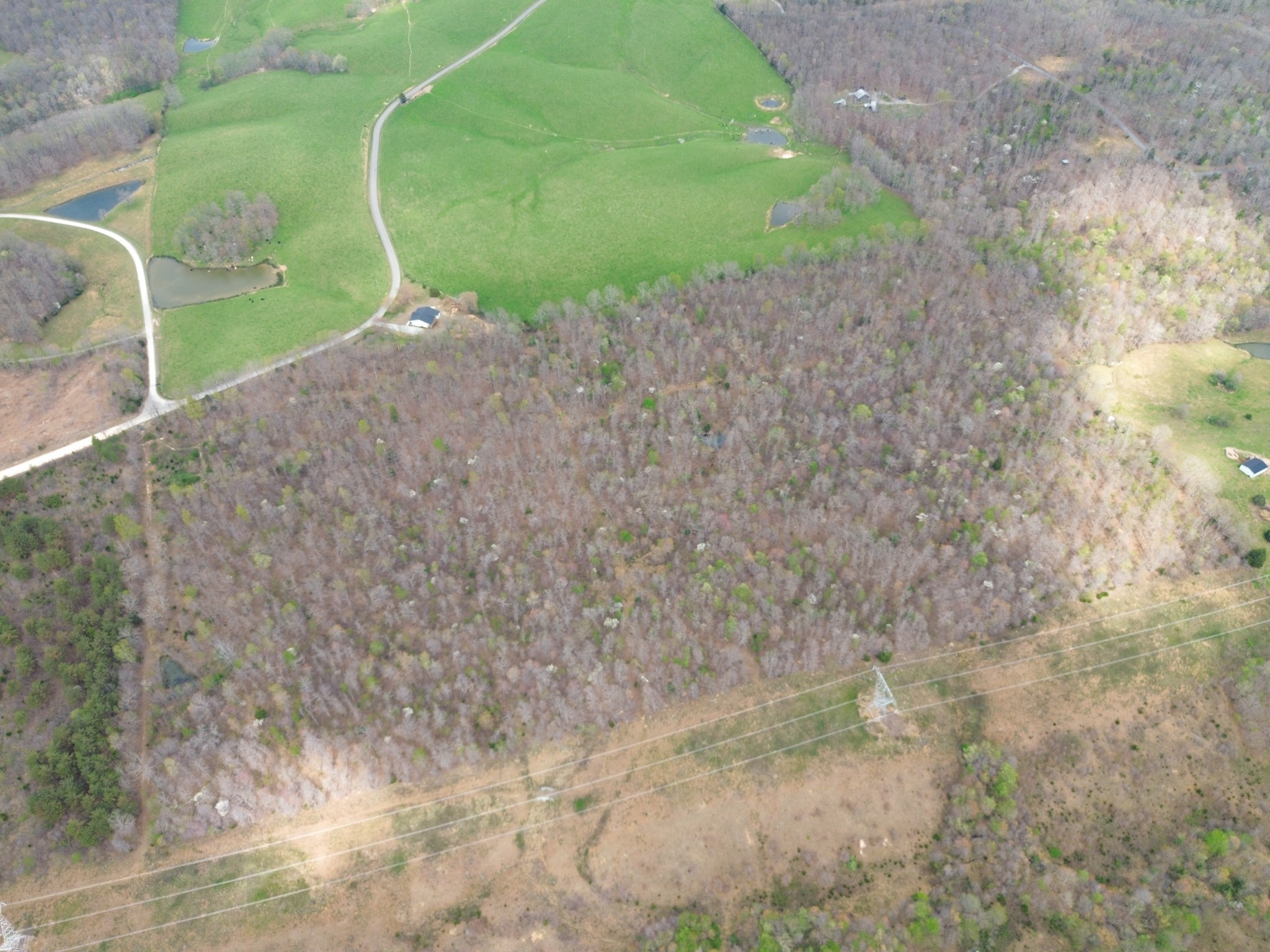 0 Mcelhiney Road Dickson, TN 37055 - Photo 33 of 56