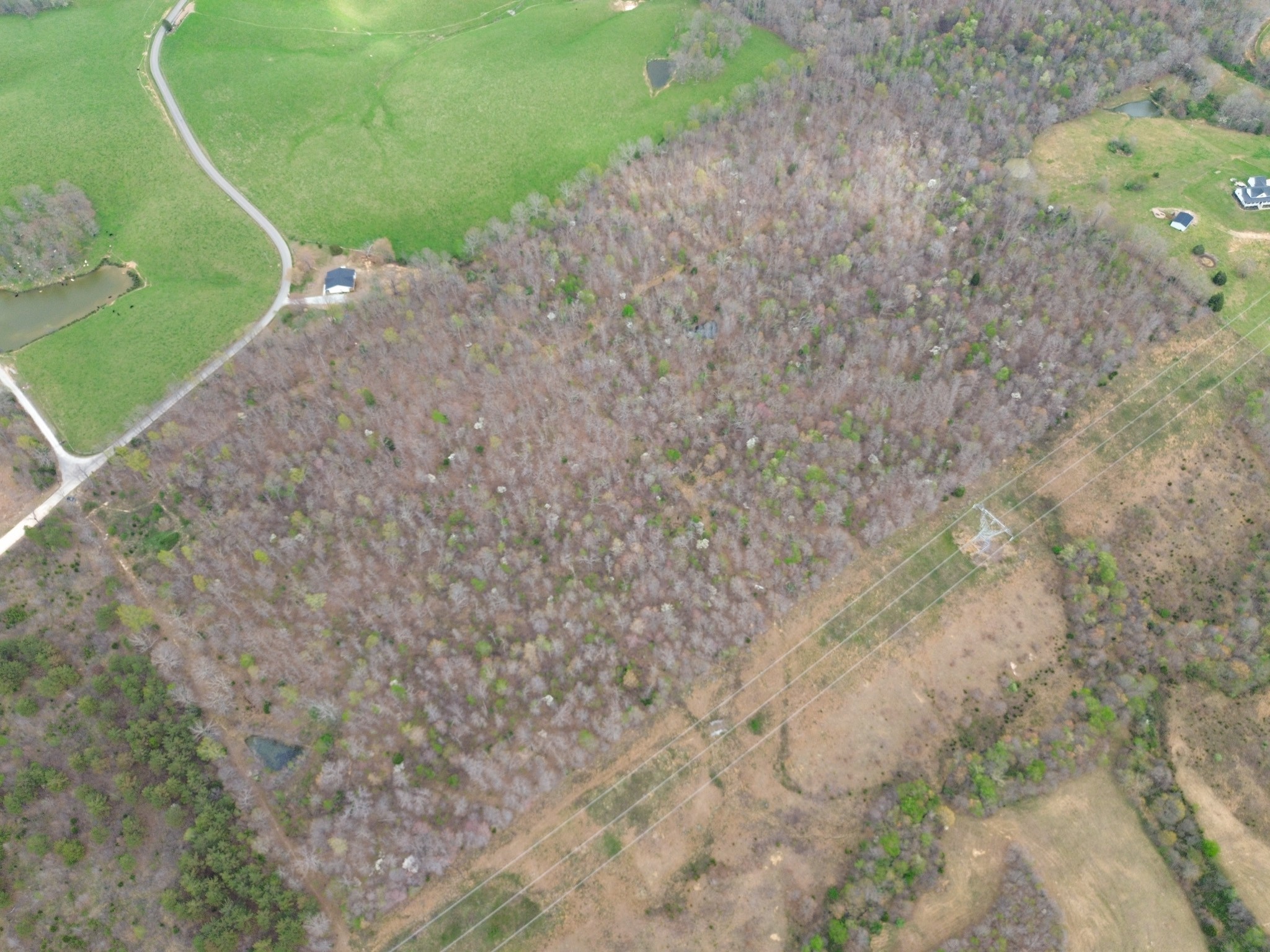 0 Mcelhiney Road Dickson, TN 37055 - Photo 34 of 56