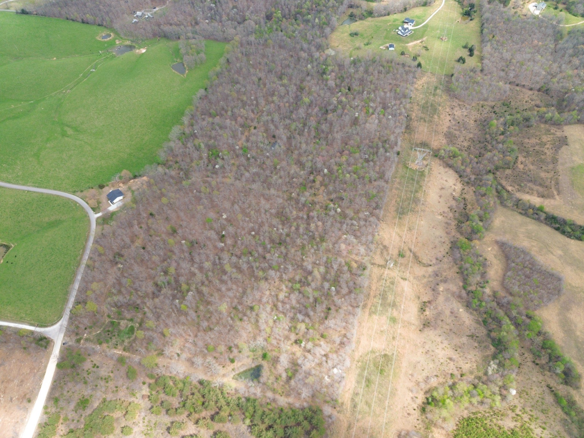 0 Mcelhiney Road Dickson, TN 37055 - Photo 35 of 56