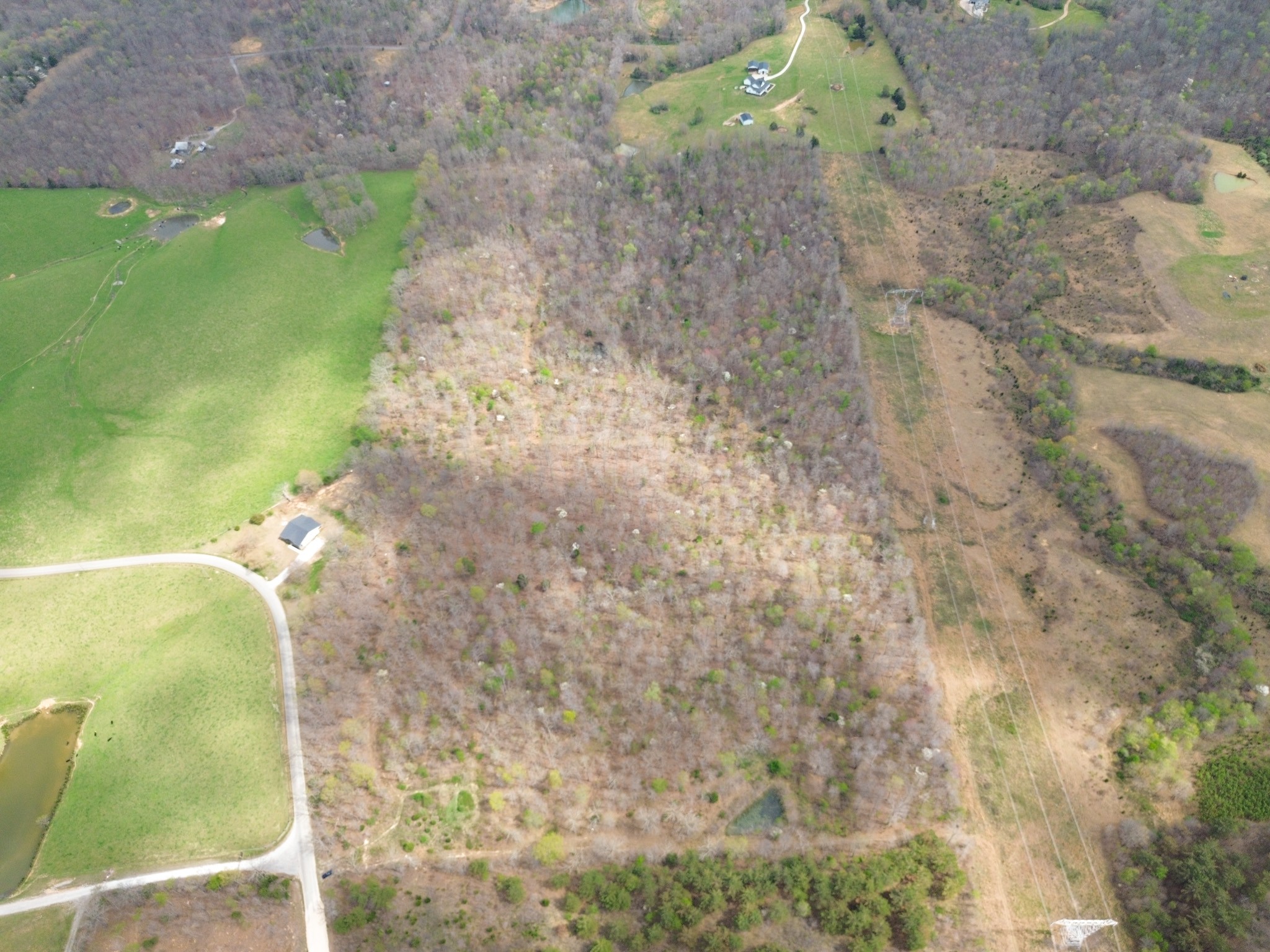 0 Mcelhiney Road Dickson, TN 37055 - Photo 36 of 56