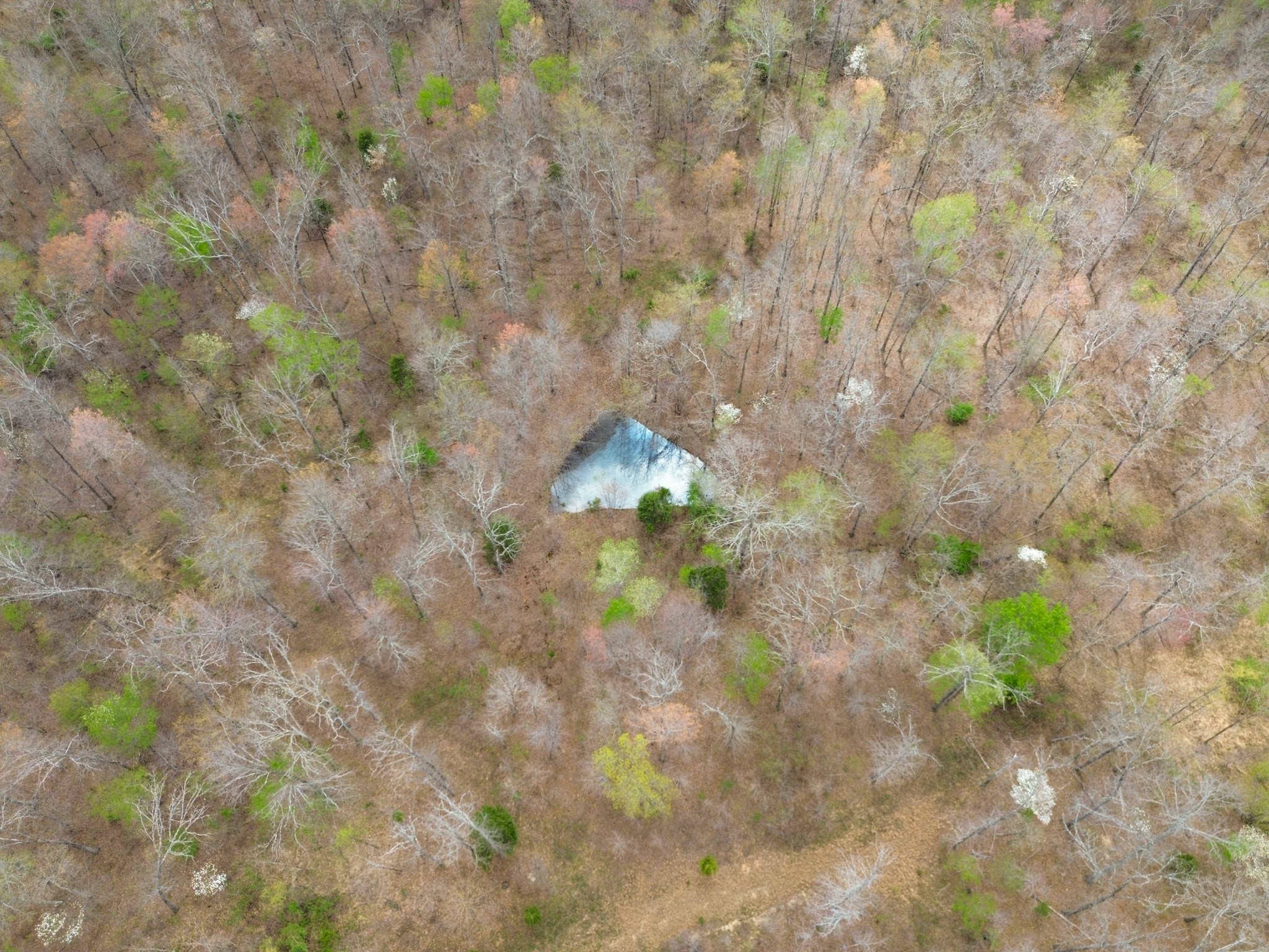 0 Mcelhiney Road Dickson, TN 37055 - Photo 45 of 56