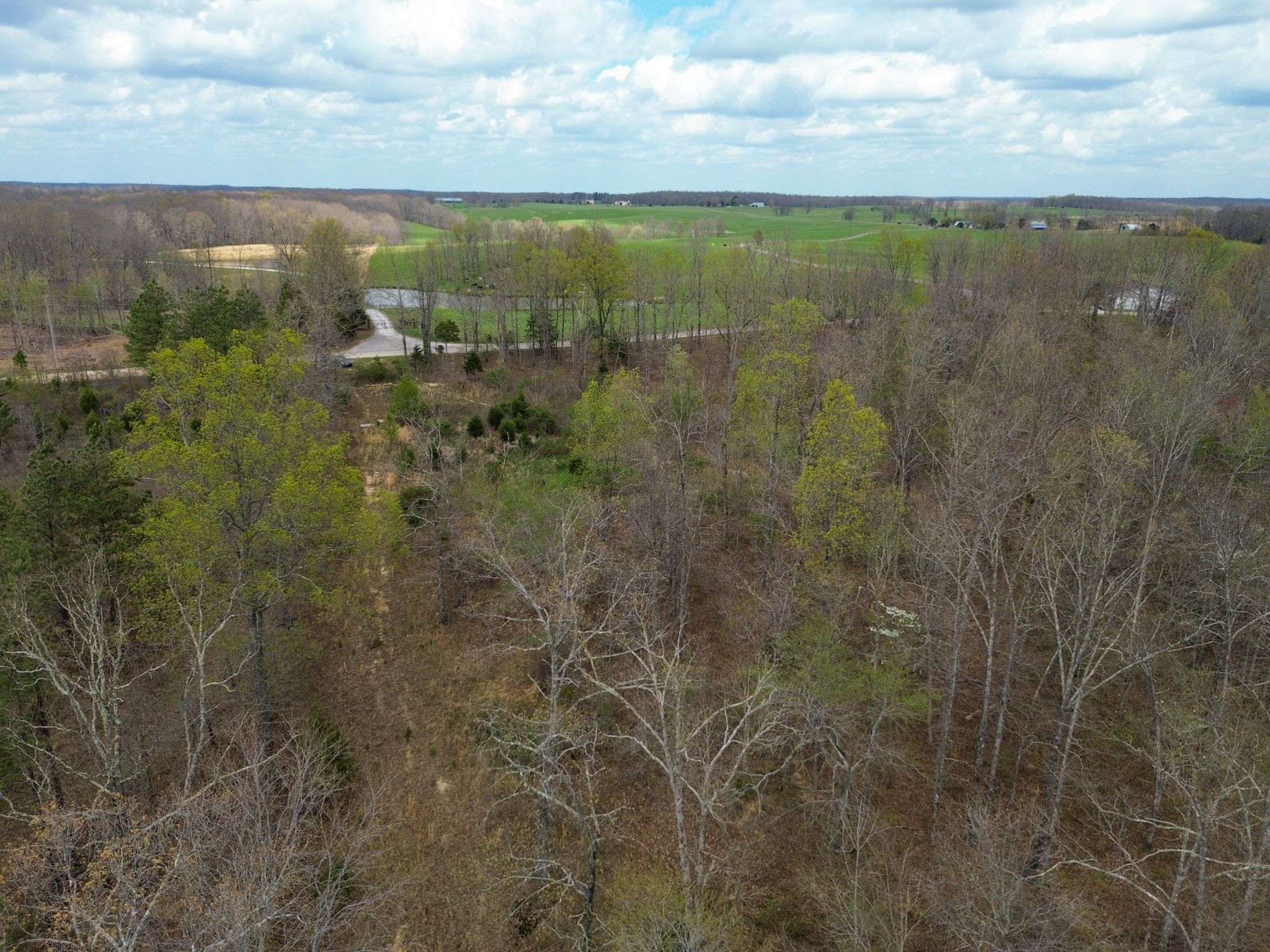 0 Mcelhiney Road Dickson, TN 37055 - Photo 46 of 56