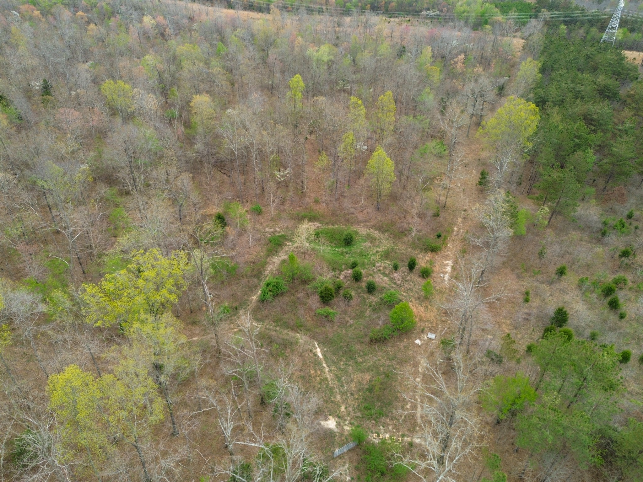 0 Mcelhiney Road Dickson, TN 37055 - Photo 47 of 56