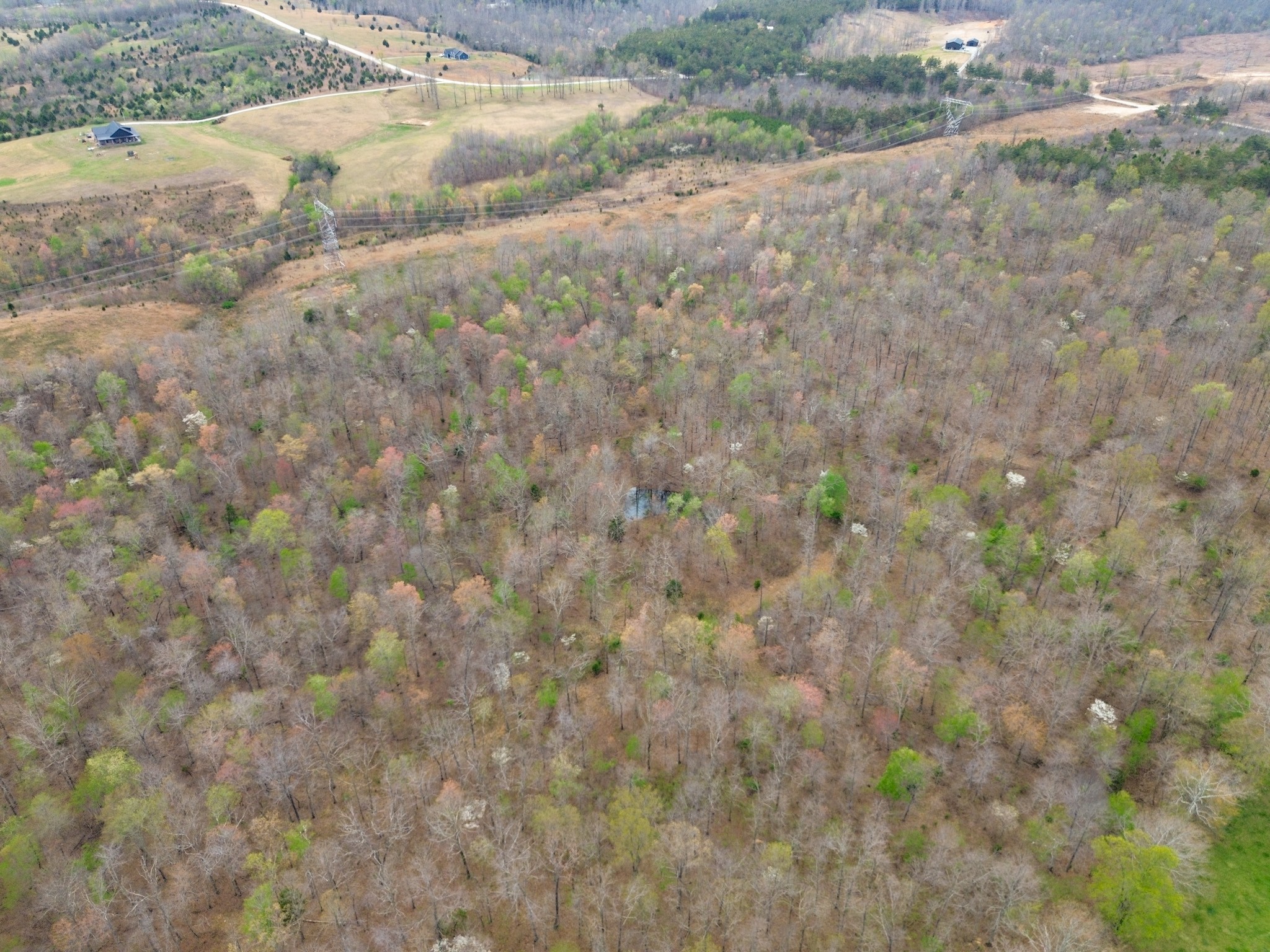 0 Mcelhiney Road Dickson, TN 37055 - Photo 49 of 56
