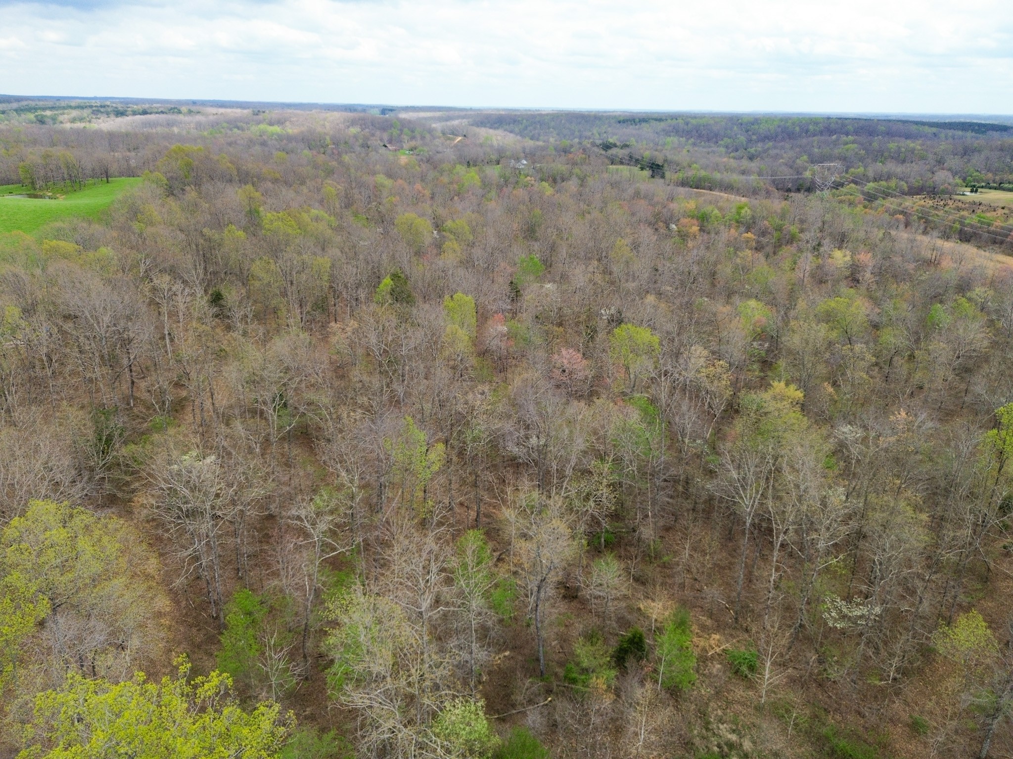 0 Mcelhiney Road Dickson, TN 37055 - Photo 52 of 56