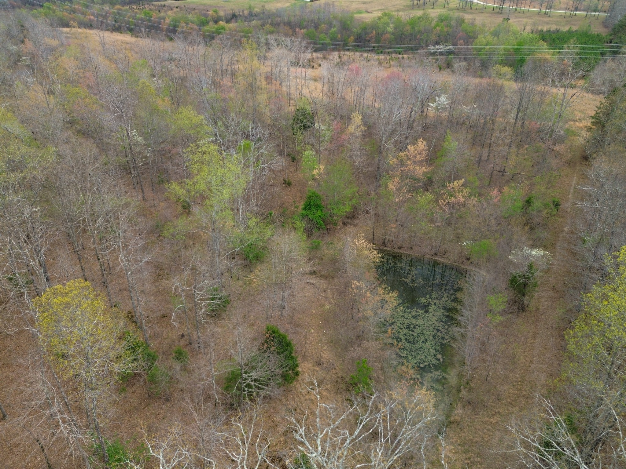 0 Mcelhiney Road Dickson, TN 37055 - Photo 53 of 56