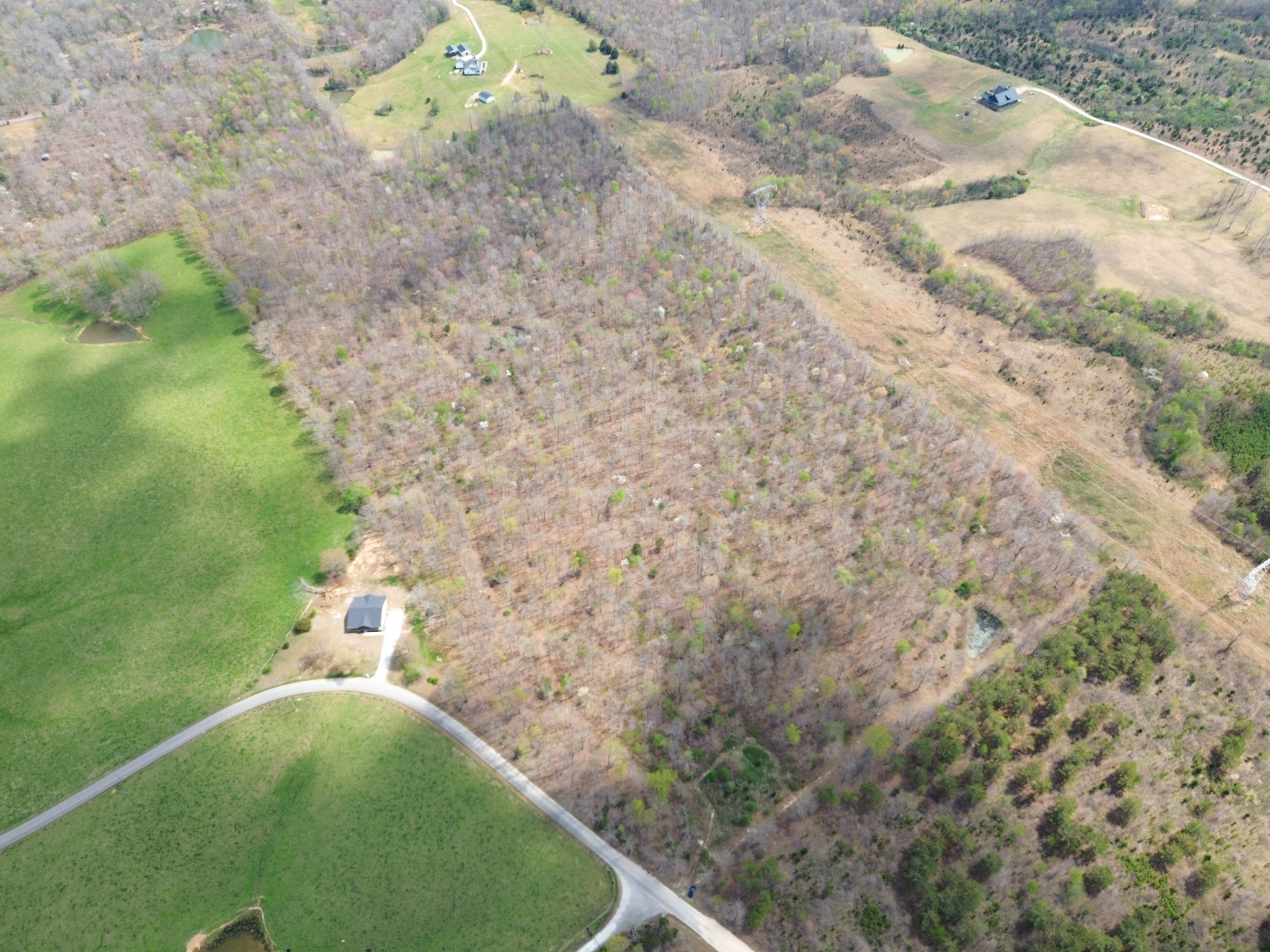 0 Mcelhiney Road Dickson, TN 37055 - Photo 9 of 56