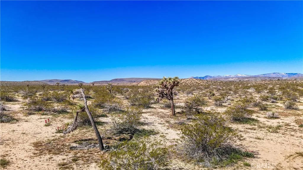 57645 Reche Landers, CA 92285 - Photo 16 of 38 a view of a sky