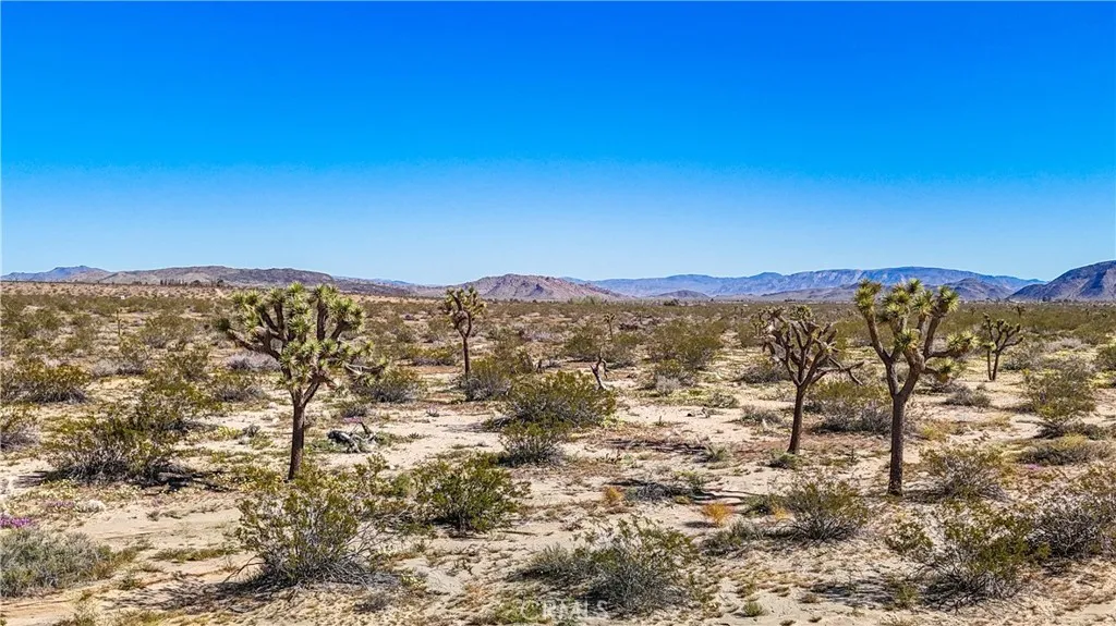 57645 Reche Landers, CA 92285 - Photo 2 of 38