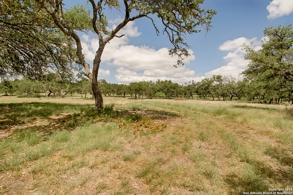 a view of open space with green space