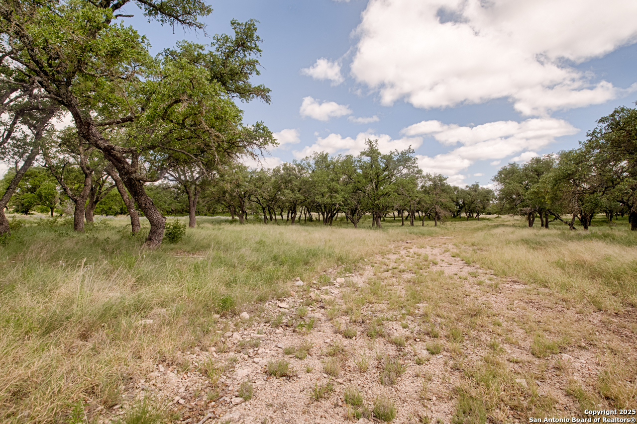 1303 Taurus Ln Junction Junction, TX 76849 - Photo 14 of 38 a view of open space with green space