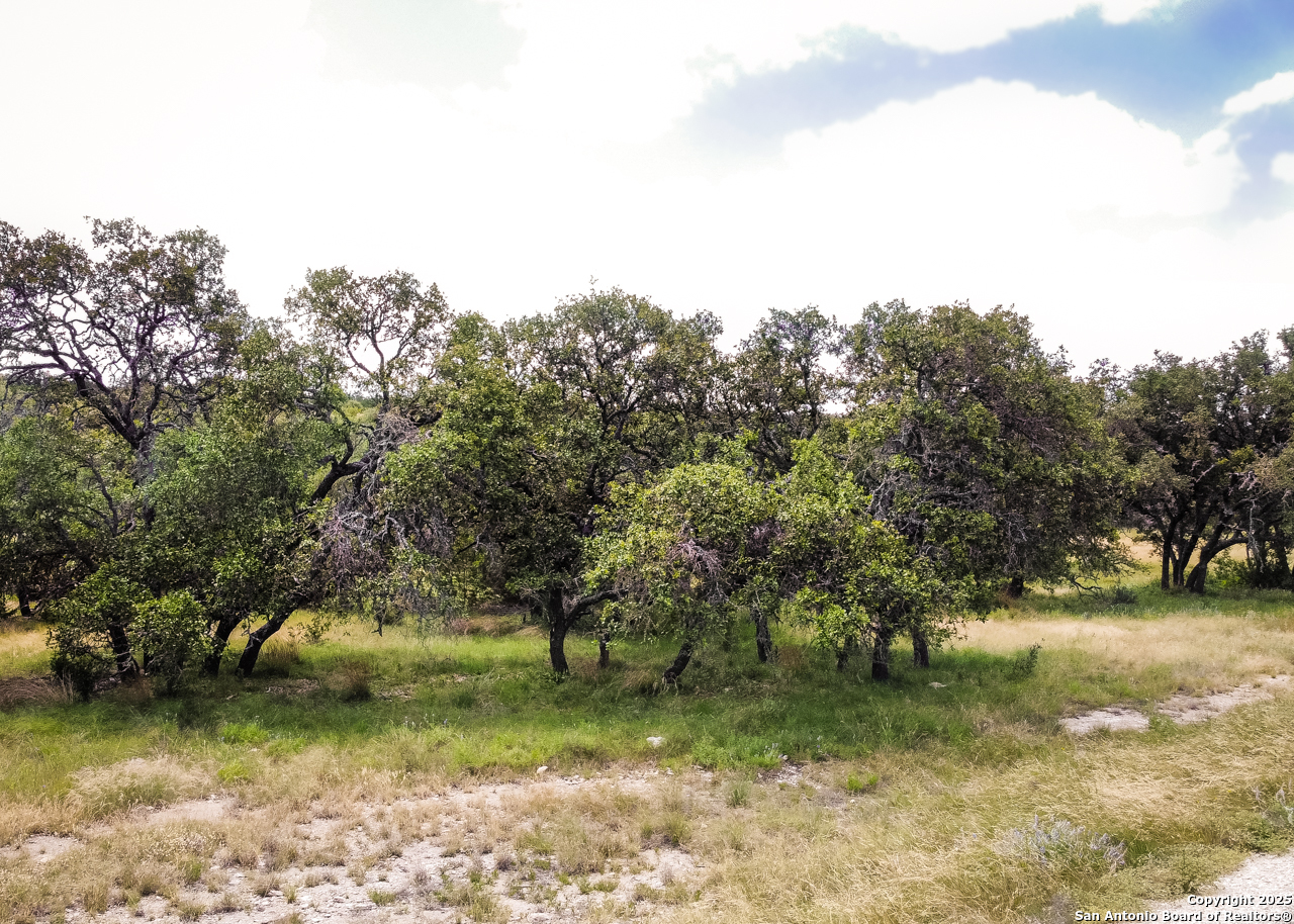 1303 Taurus Ln Junction Junction, TX 76849 - Photo 16 of 38 a view of a trees in a yard