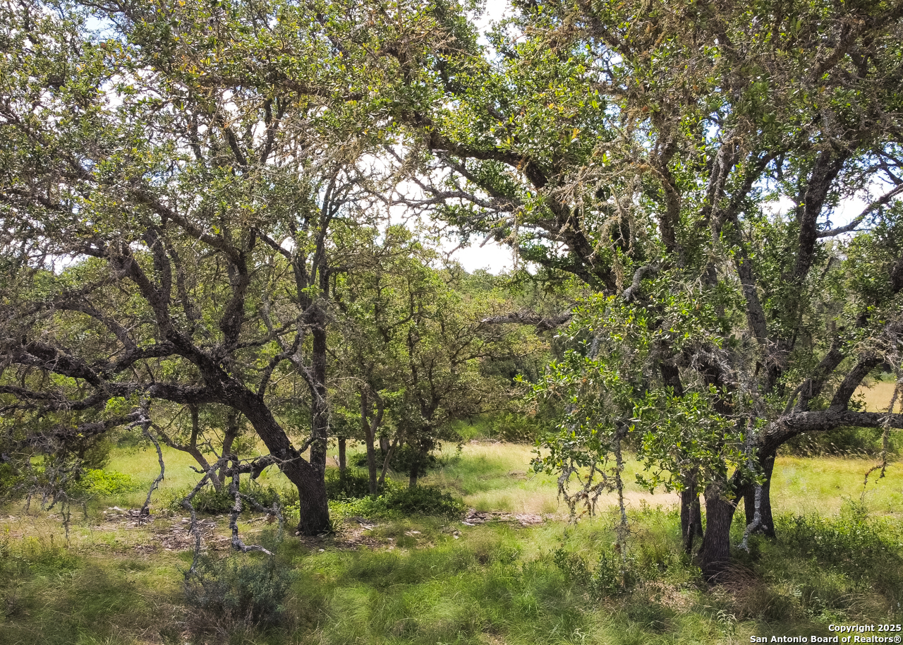 1303 Taurus Ln Junction Junction, TX 76849 - Photo 21 of 38 a view of mountain view with lots of trees